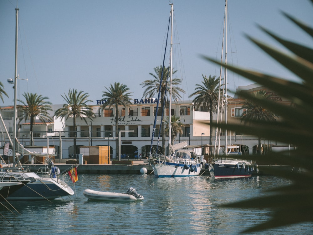 a building with palm trees and boats
