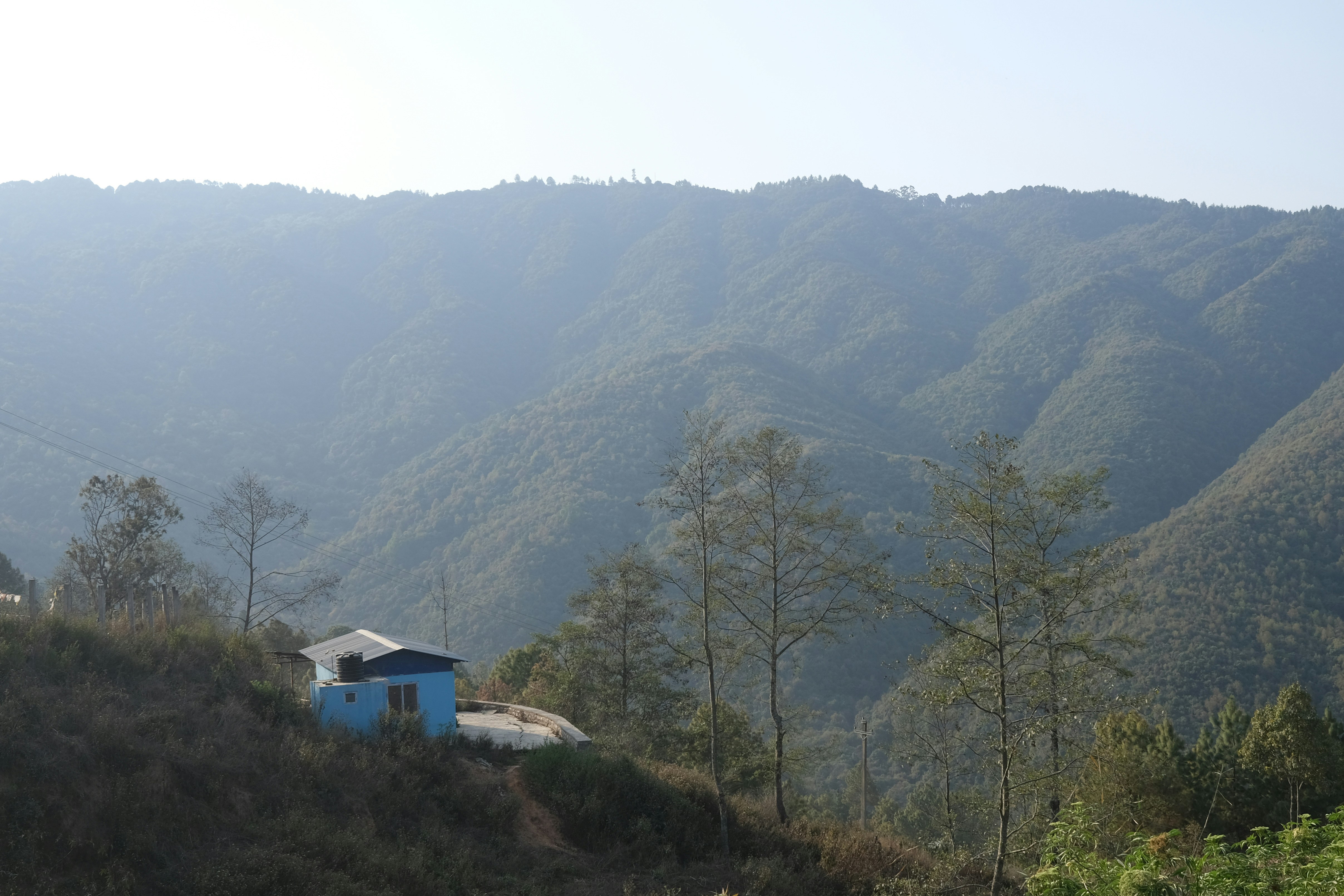 Photo by larsholdgaard