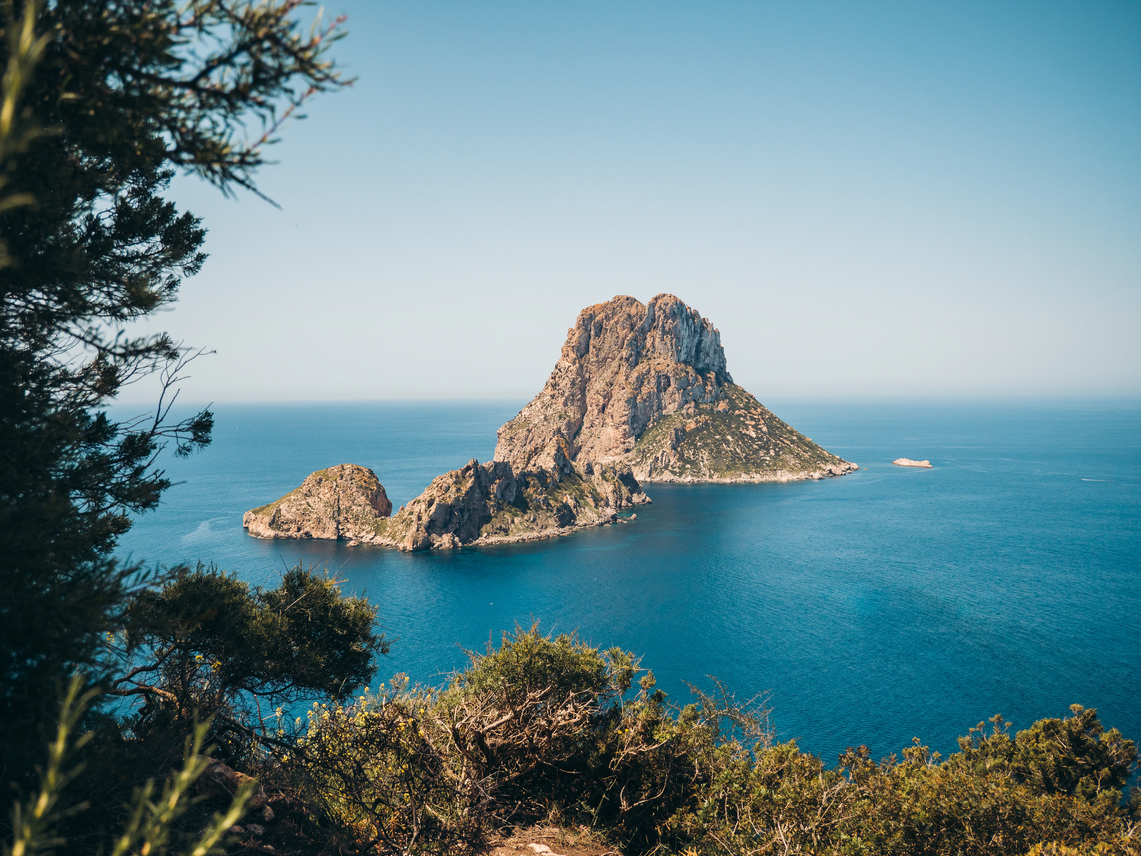 The rocky islet of Es Vedrà rising steeply from deep blue sea off the coast of Ibiza, framed by scrub and pine branches at the clifftop viewpoint