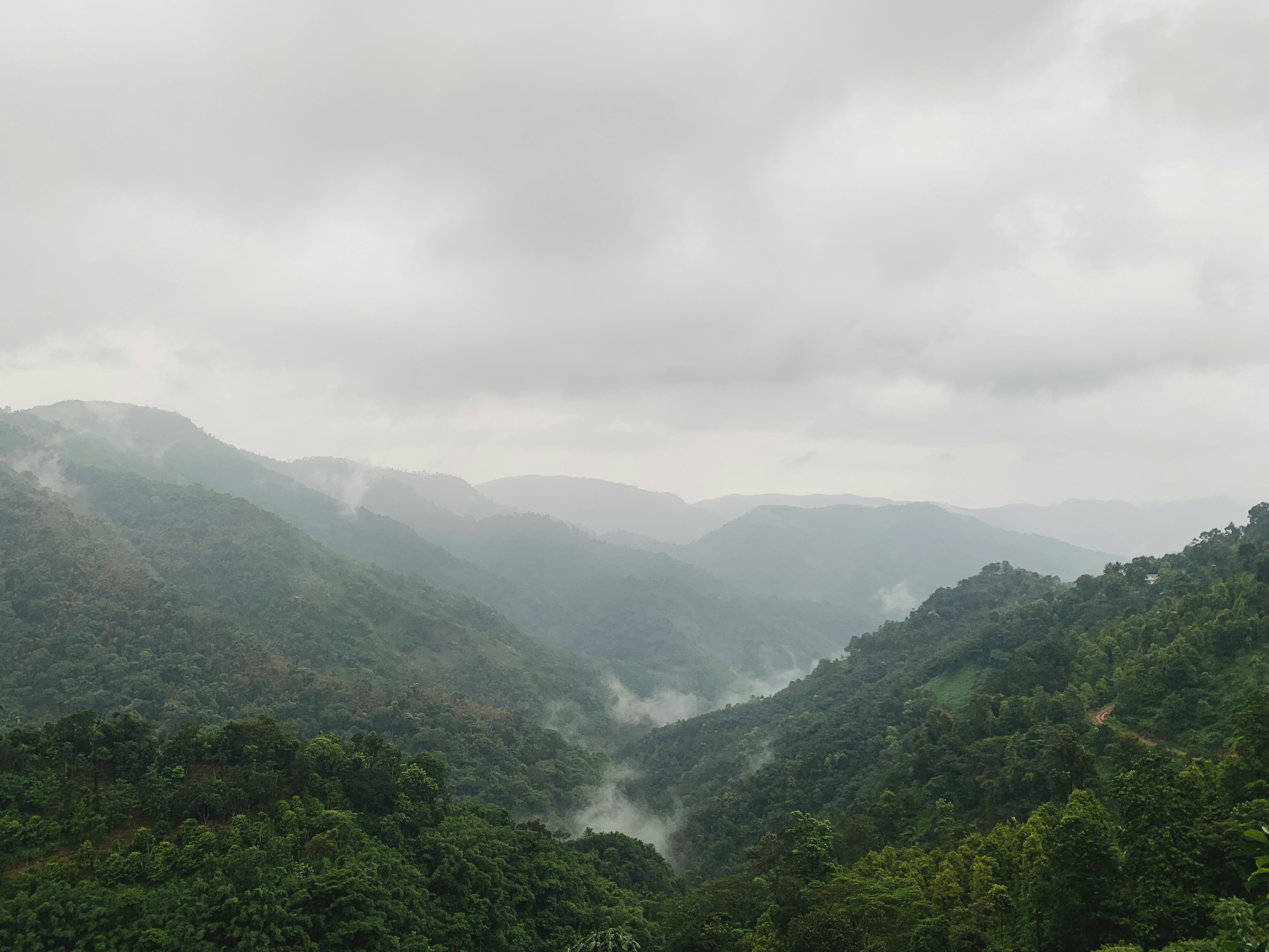 Photo by fallen_enigma