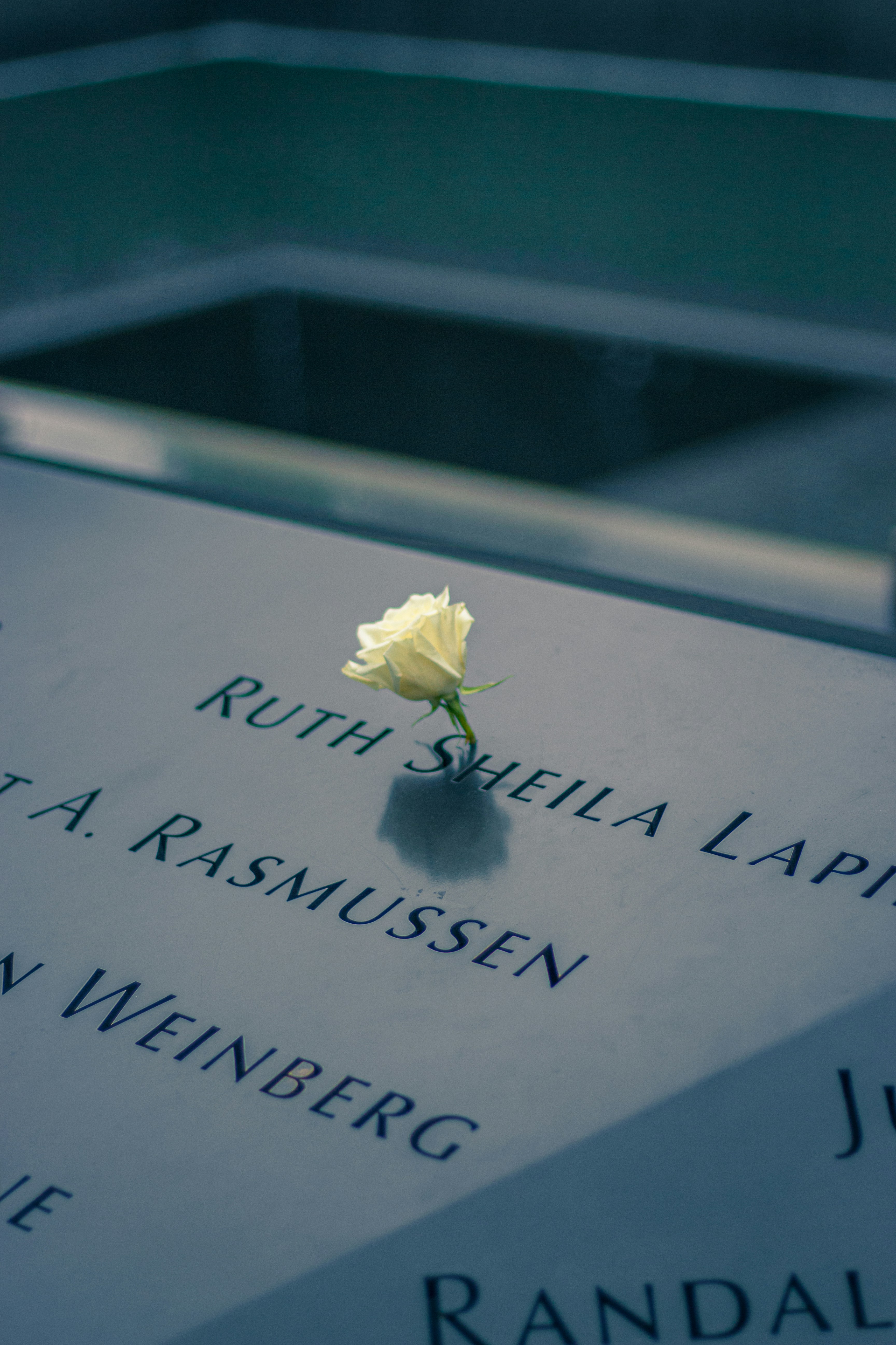 Containers in Arlington, WA