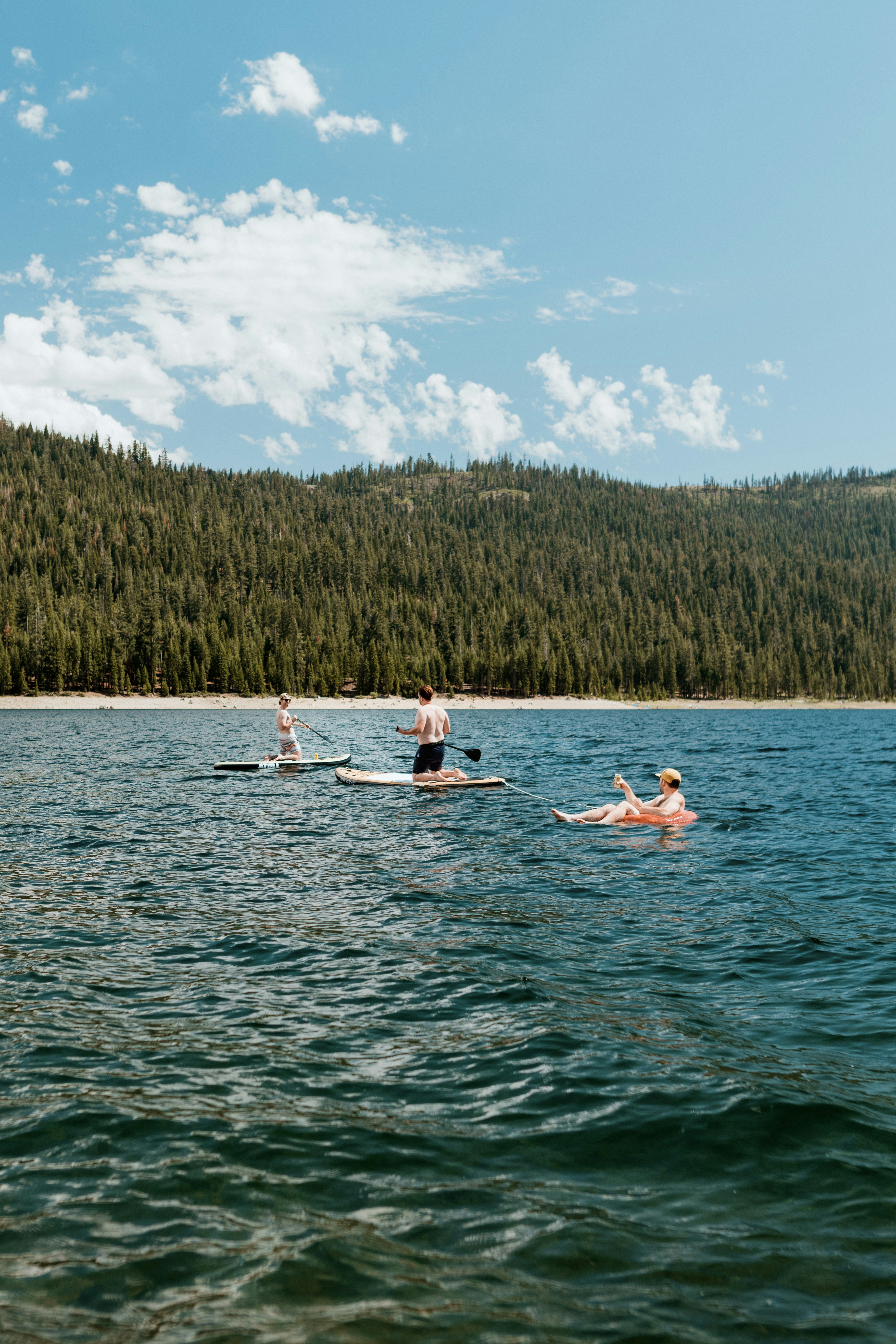 Photo by daniellestein