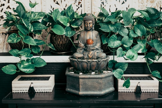 a statue of a buddha in front of plants