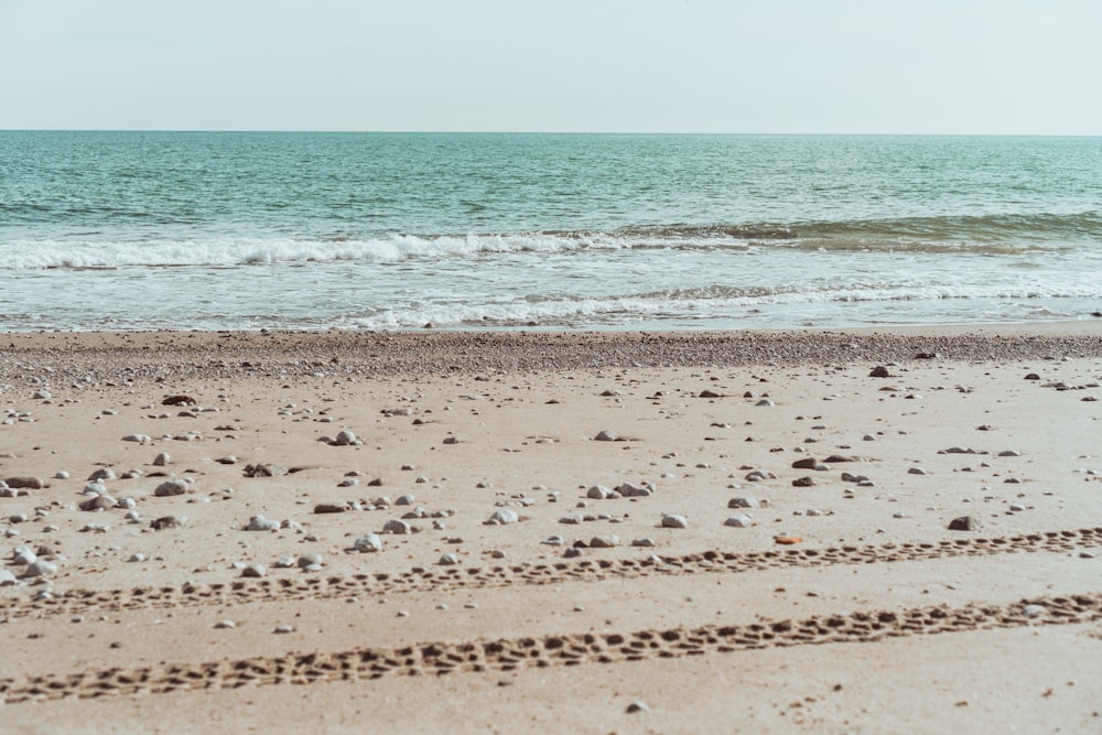 a beach with waves crashing