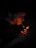 a man holding a lit candle