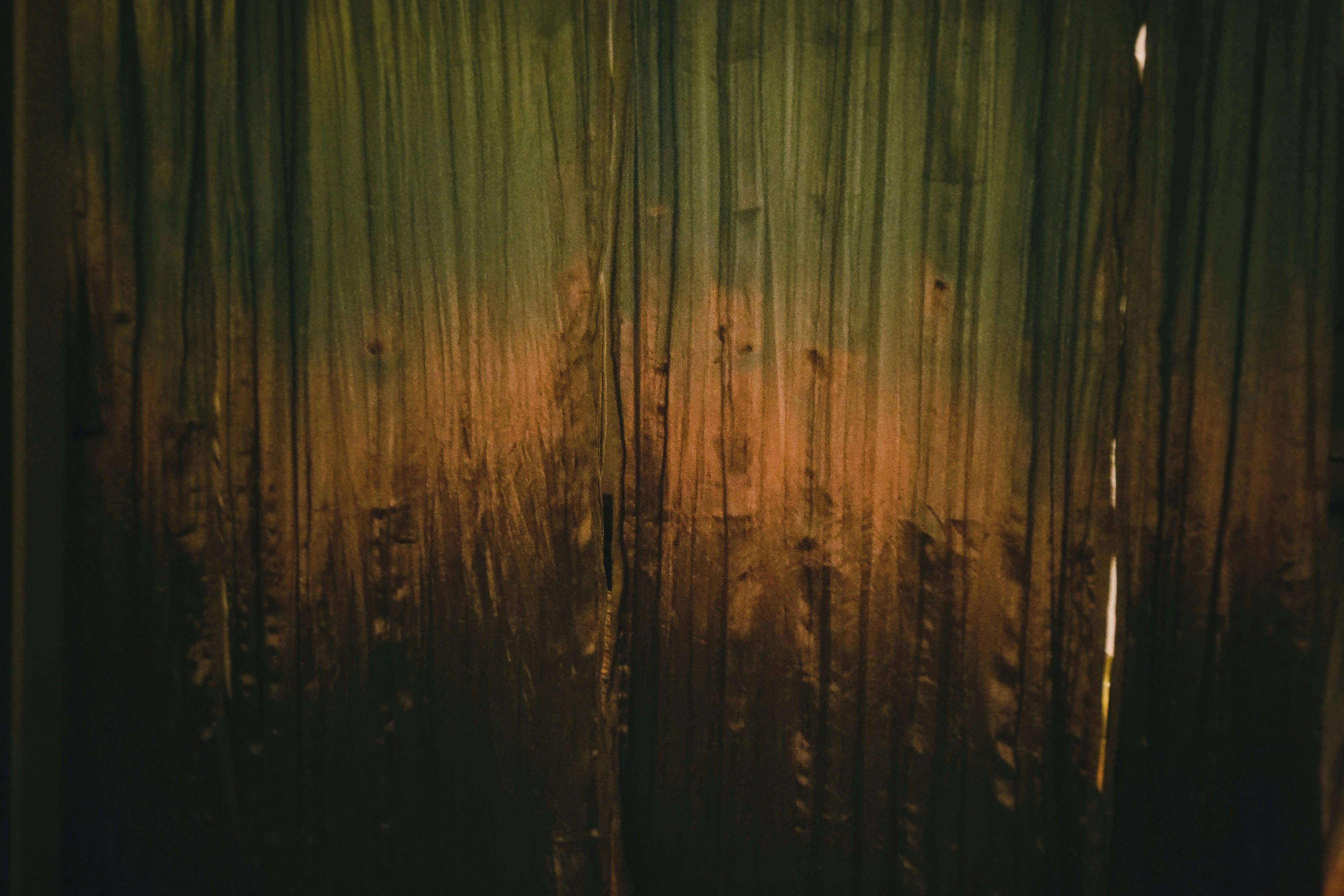 Photo by fieldworkframes