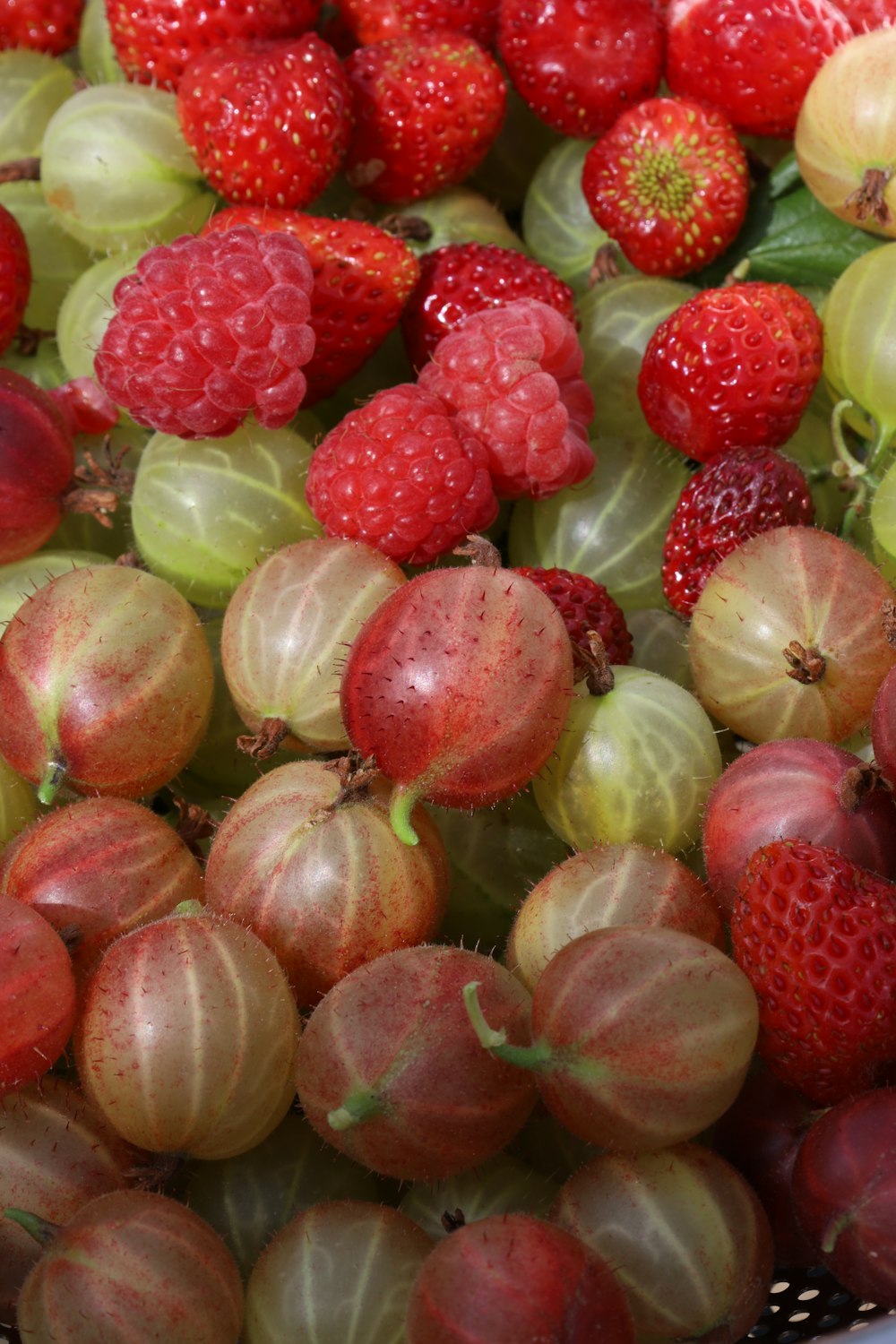 a pile of colorful fruit