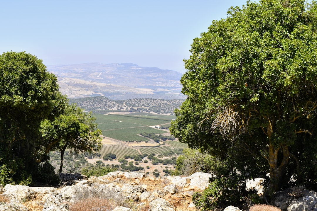 View from Mount Dajti