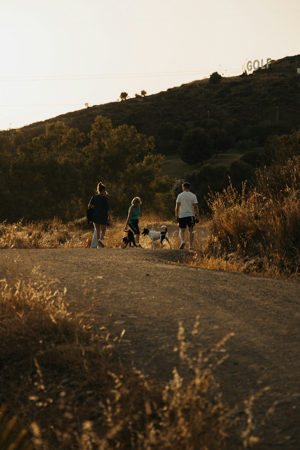 a group of people walking dogs on a dirt road