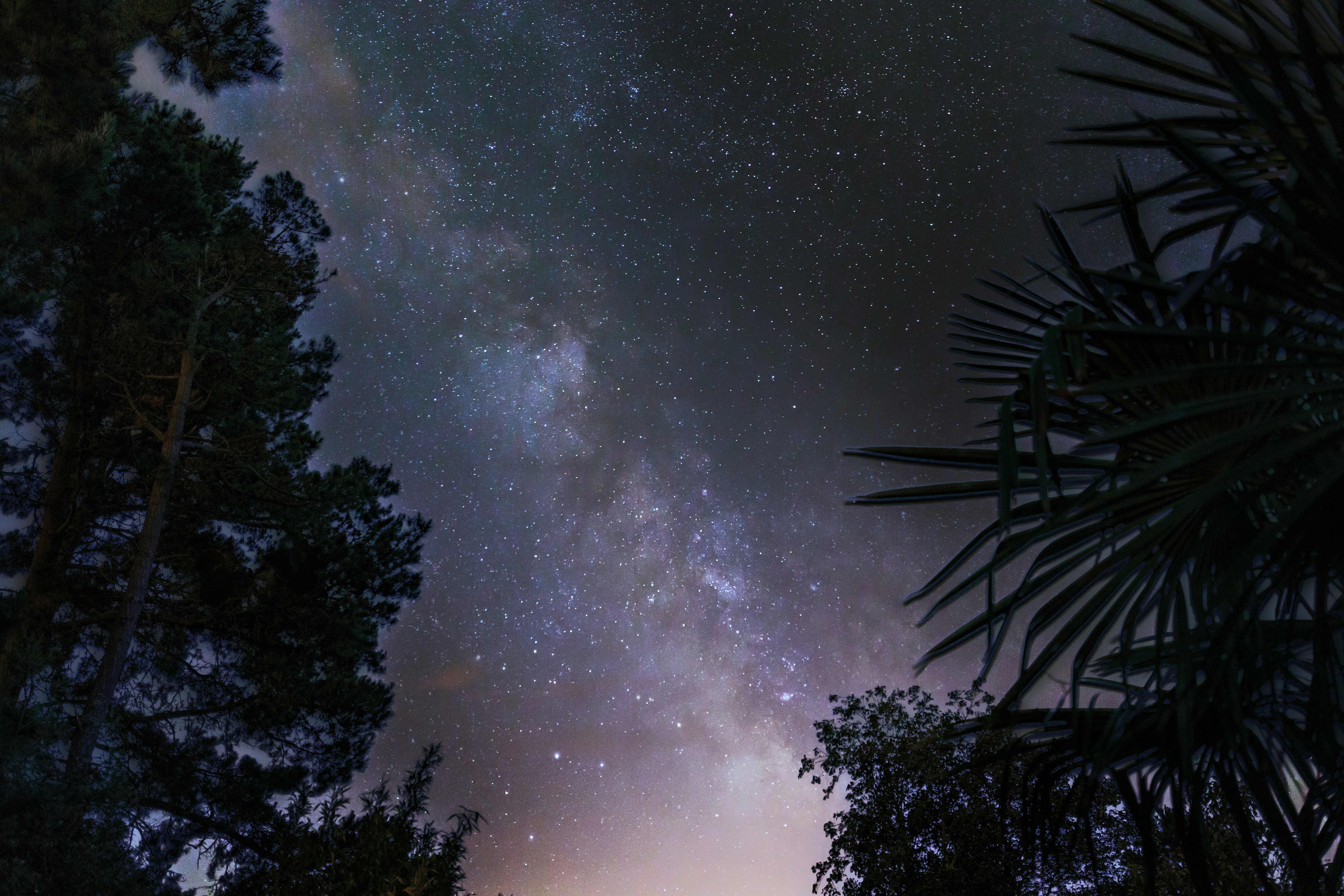 Photo by arizonanthony