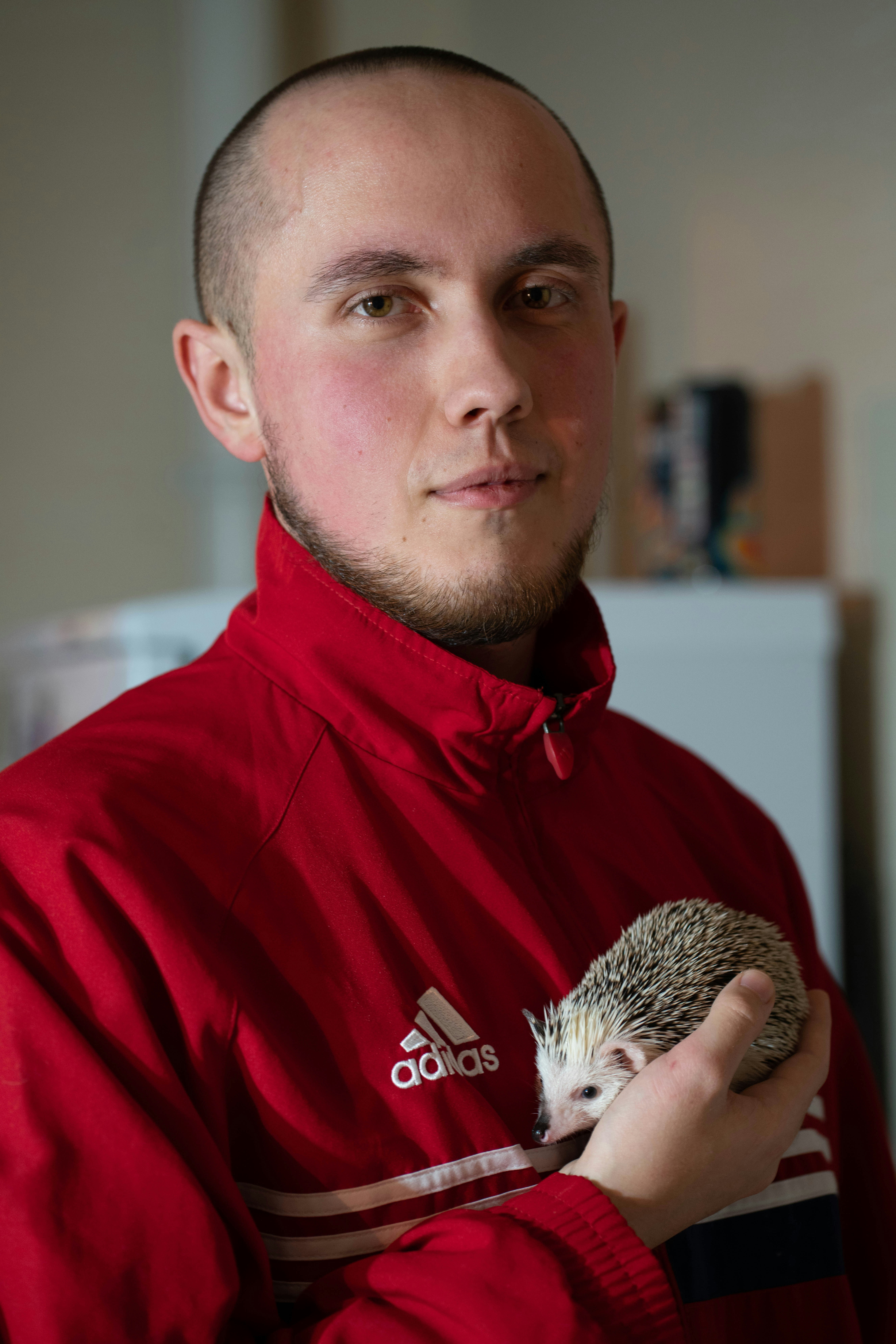 Veterinarian examining a pet hedgehog with possible hedgehog respiratory disease