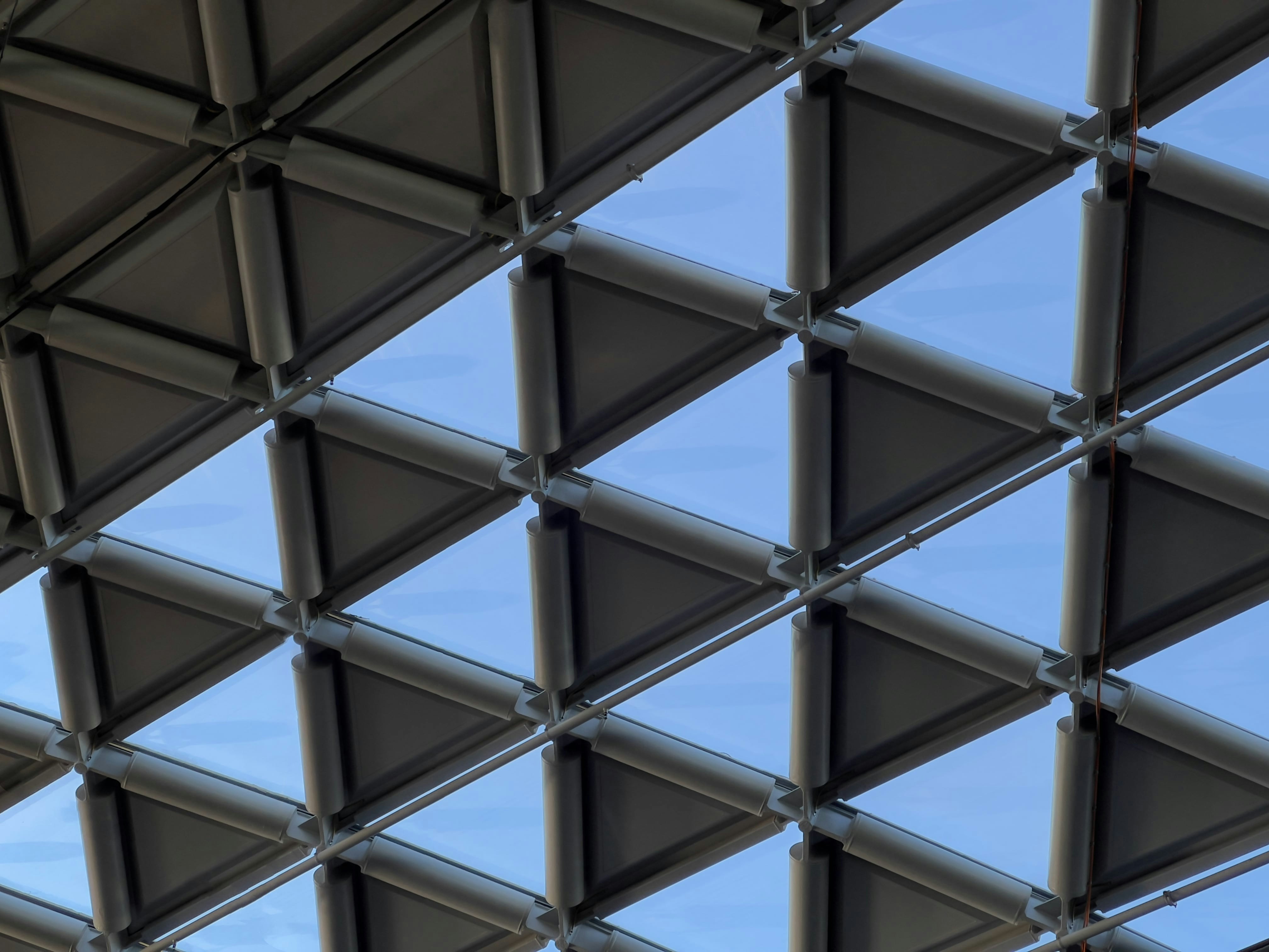 Photo by steven_______