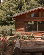 A spacious wooden cabin-style house surrounded by greenery and natural beauty.
