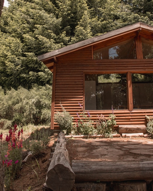 Compact cabin with large windows nestled in a wooded area