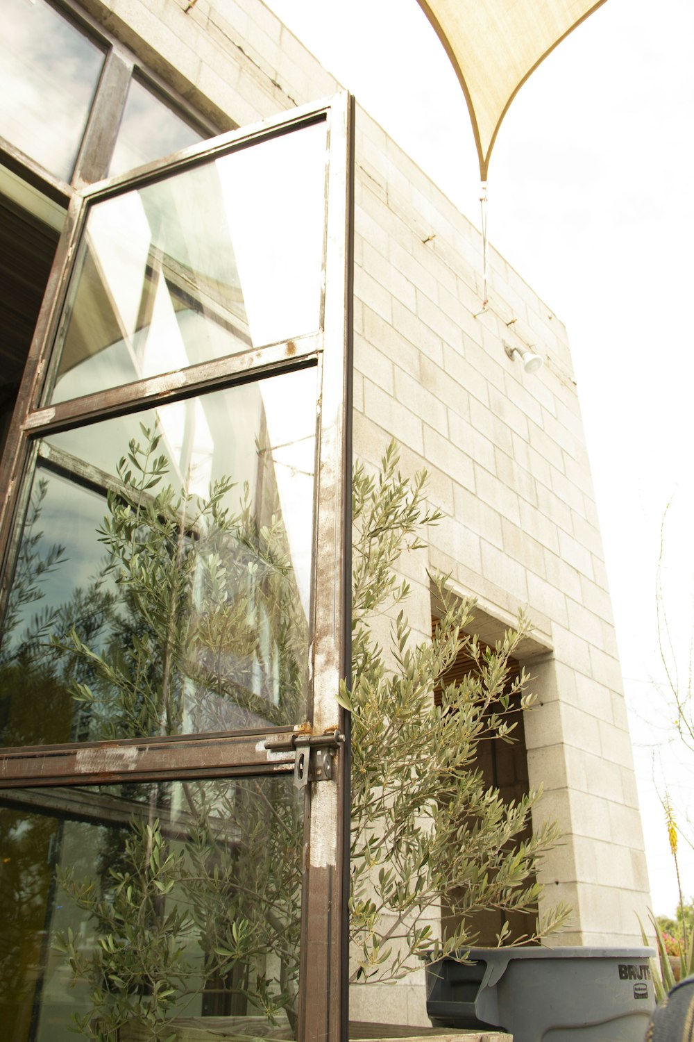 a window with a plant outside