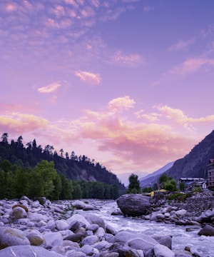 a river with rocks and trees