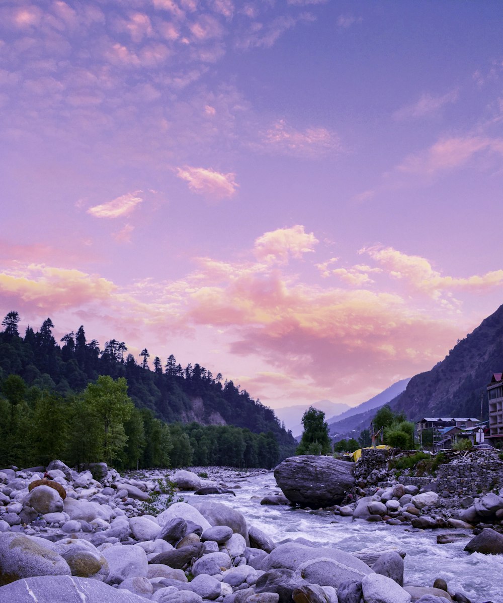 a river with rocks and trees