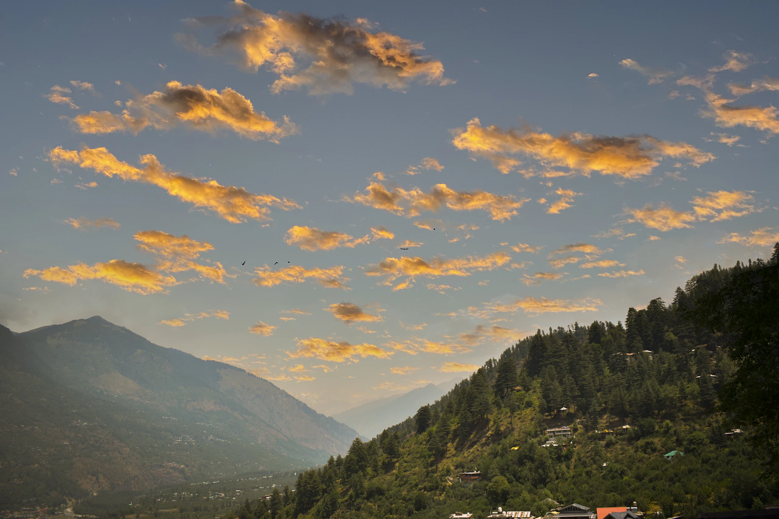 The forested mountain landscape surrounding Naggar village, Himachal Pradesh