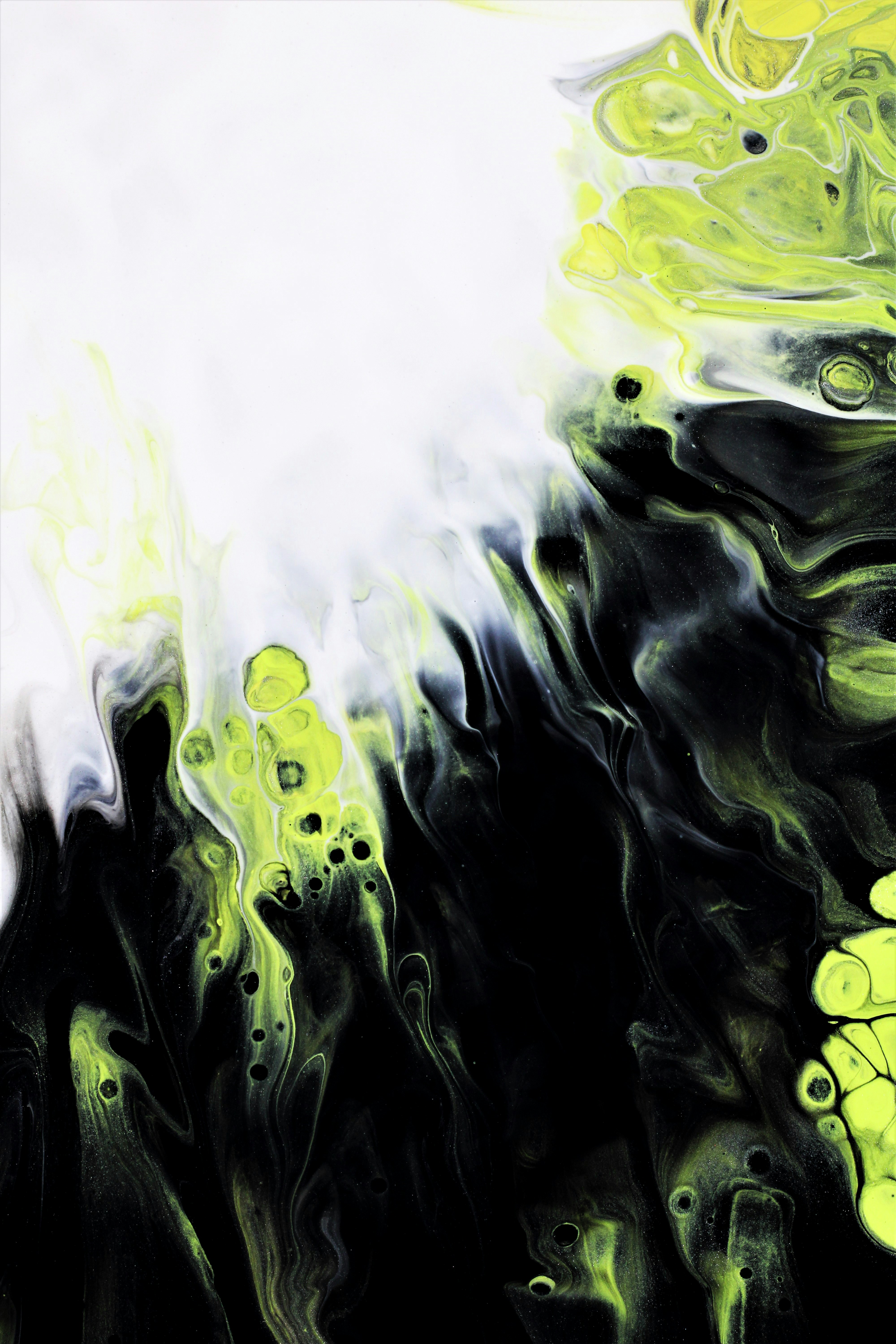 Photo by susan_wilkinson