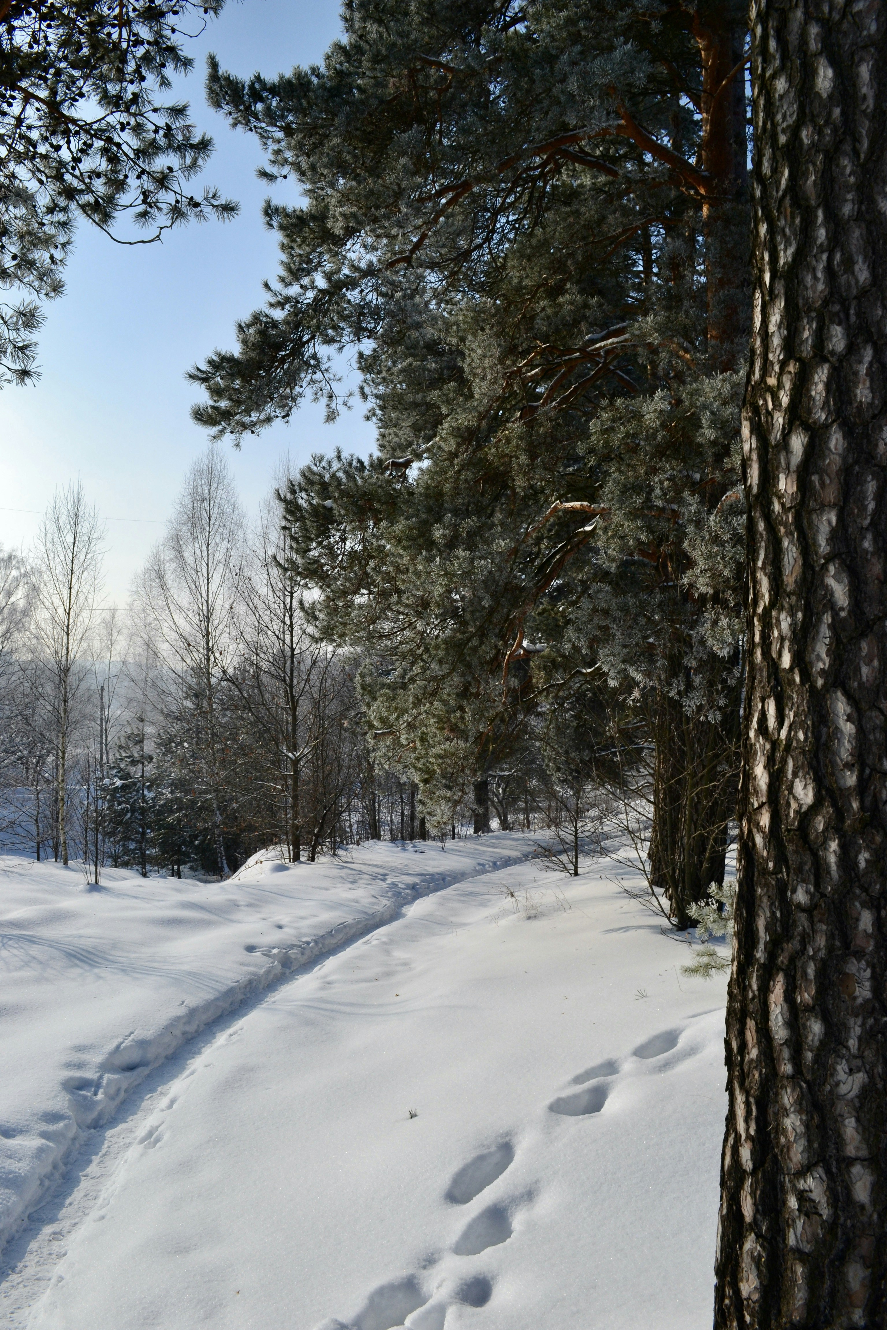 Photo by evgenslavin