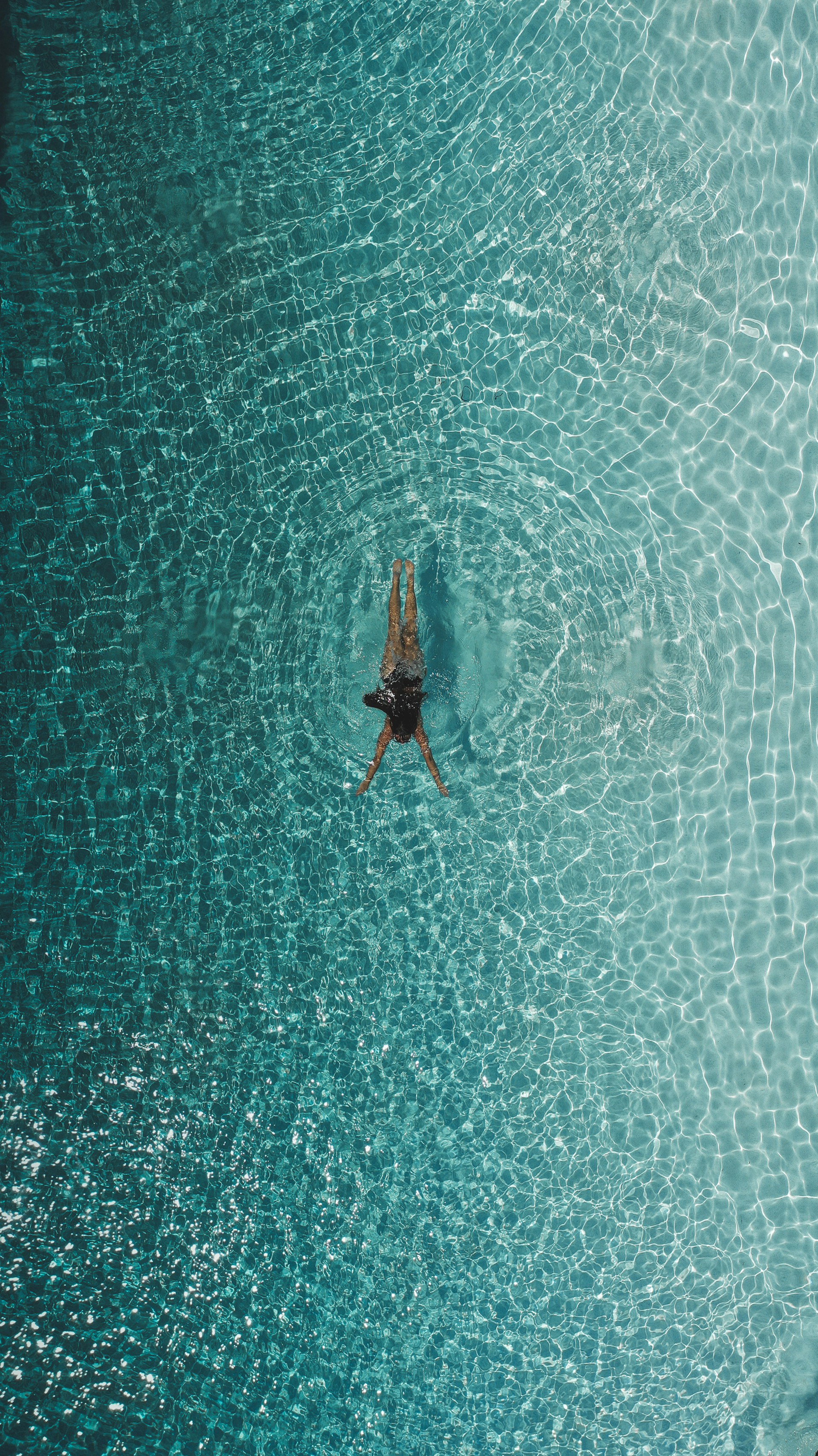 a bug on a surface