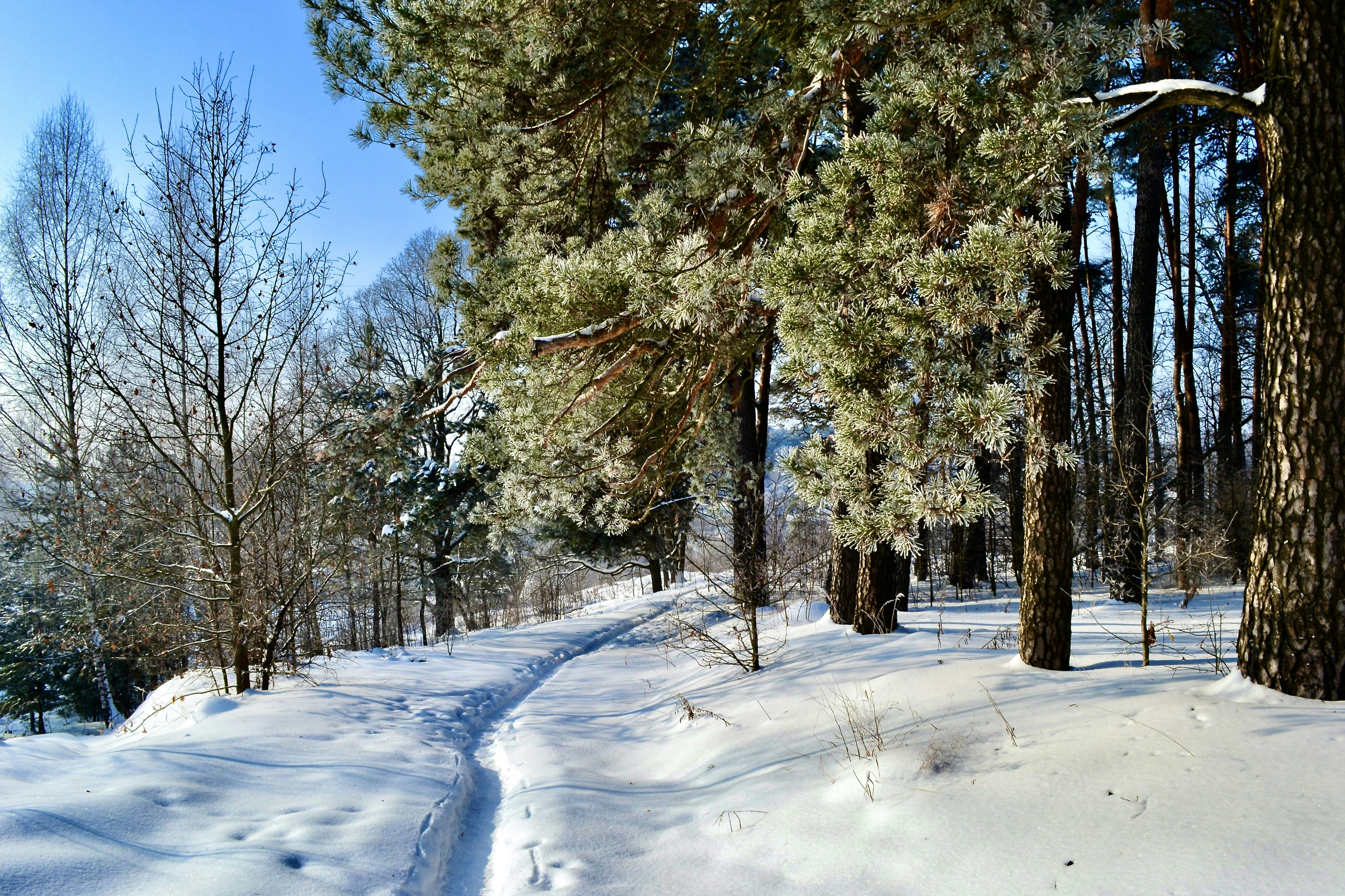 Photo by evgenslavin