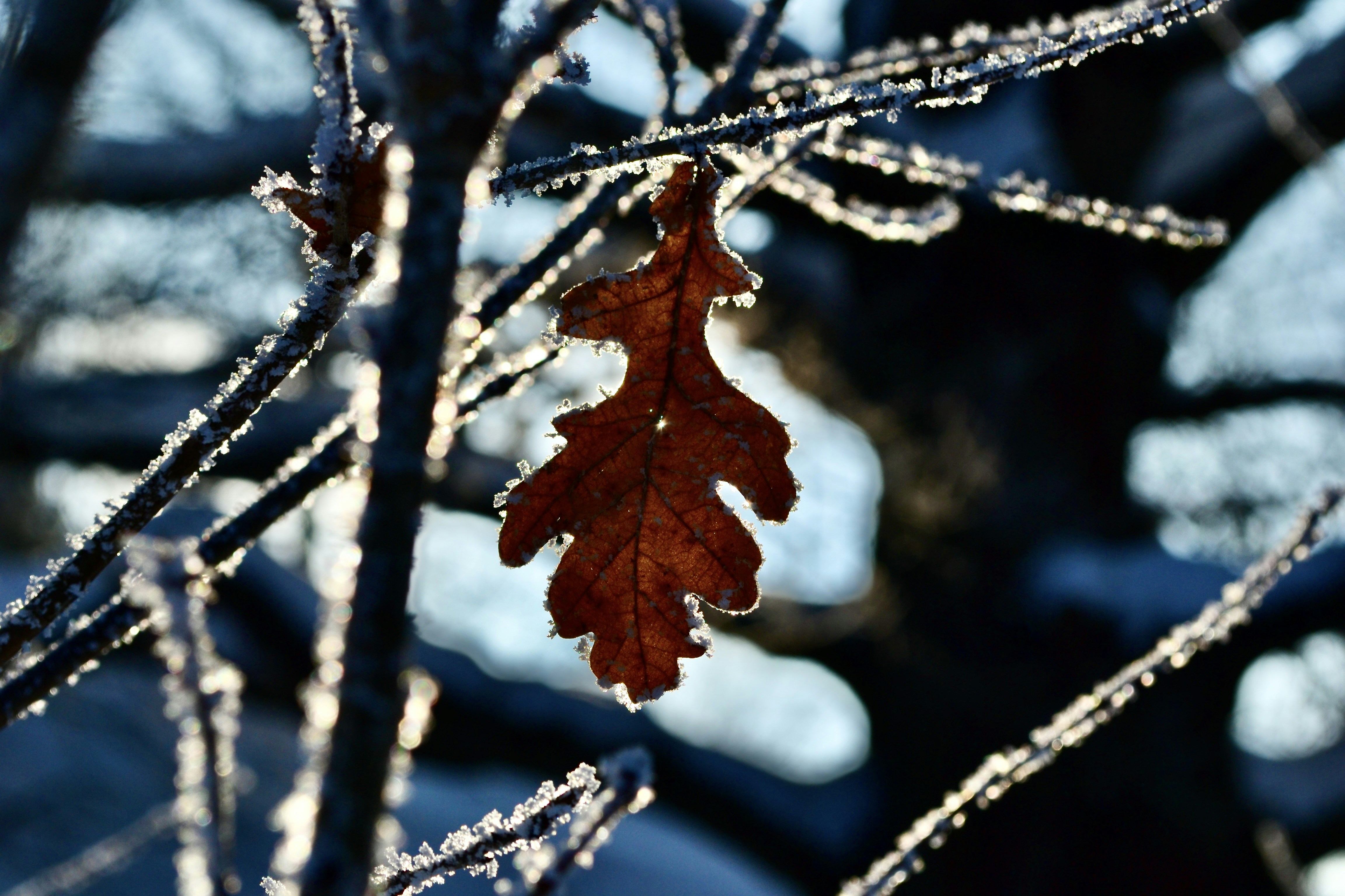 Photo by evgenslavin