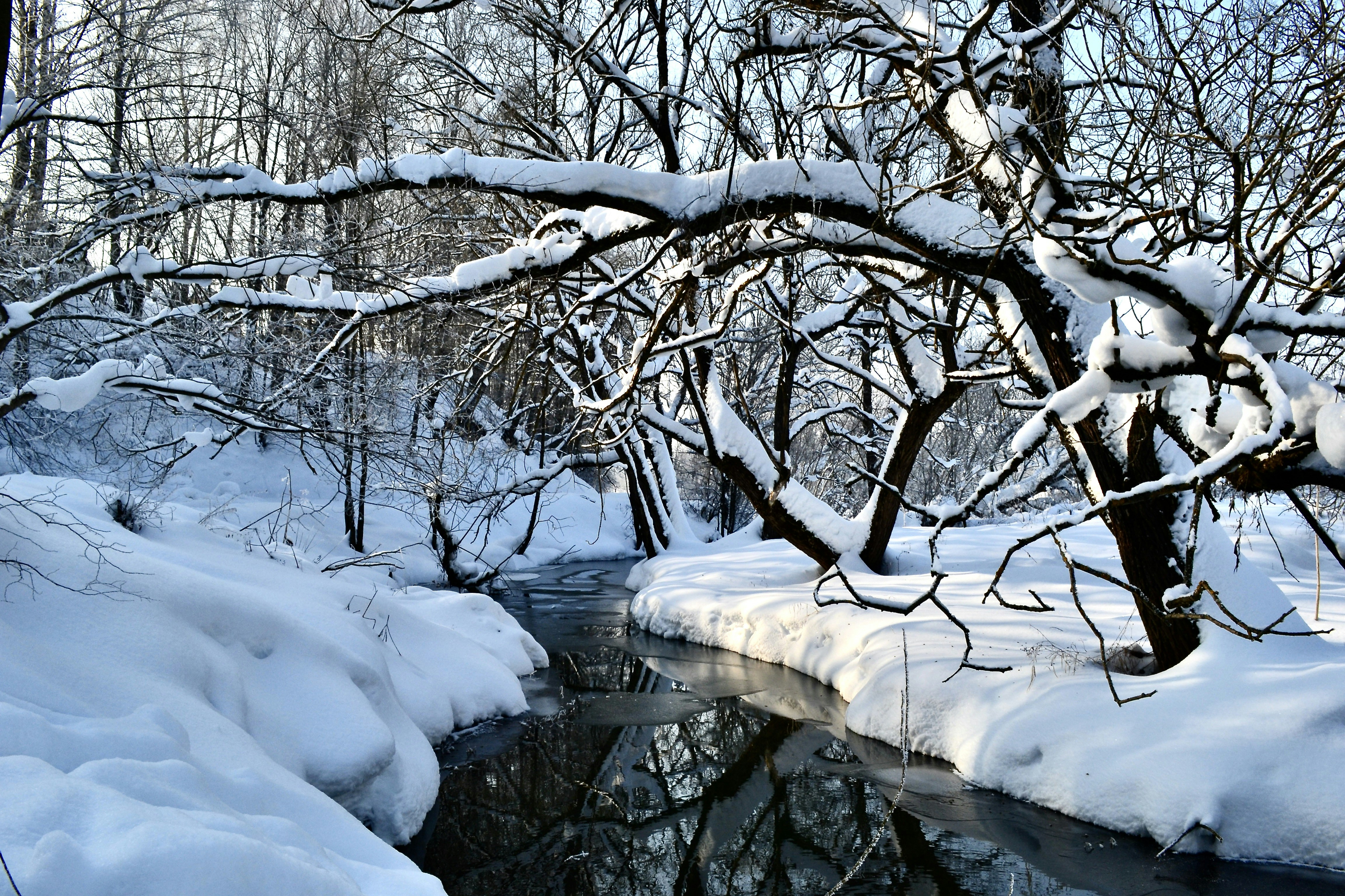 Photo by evgenslavin