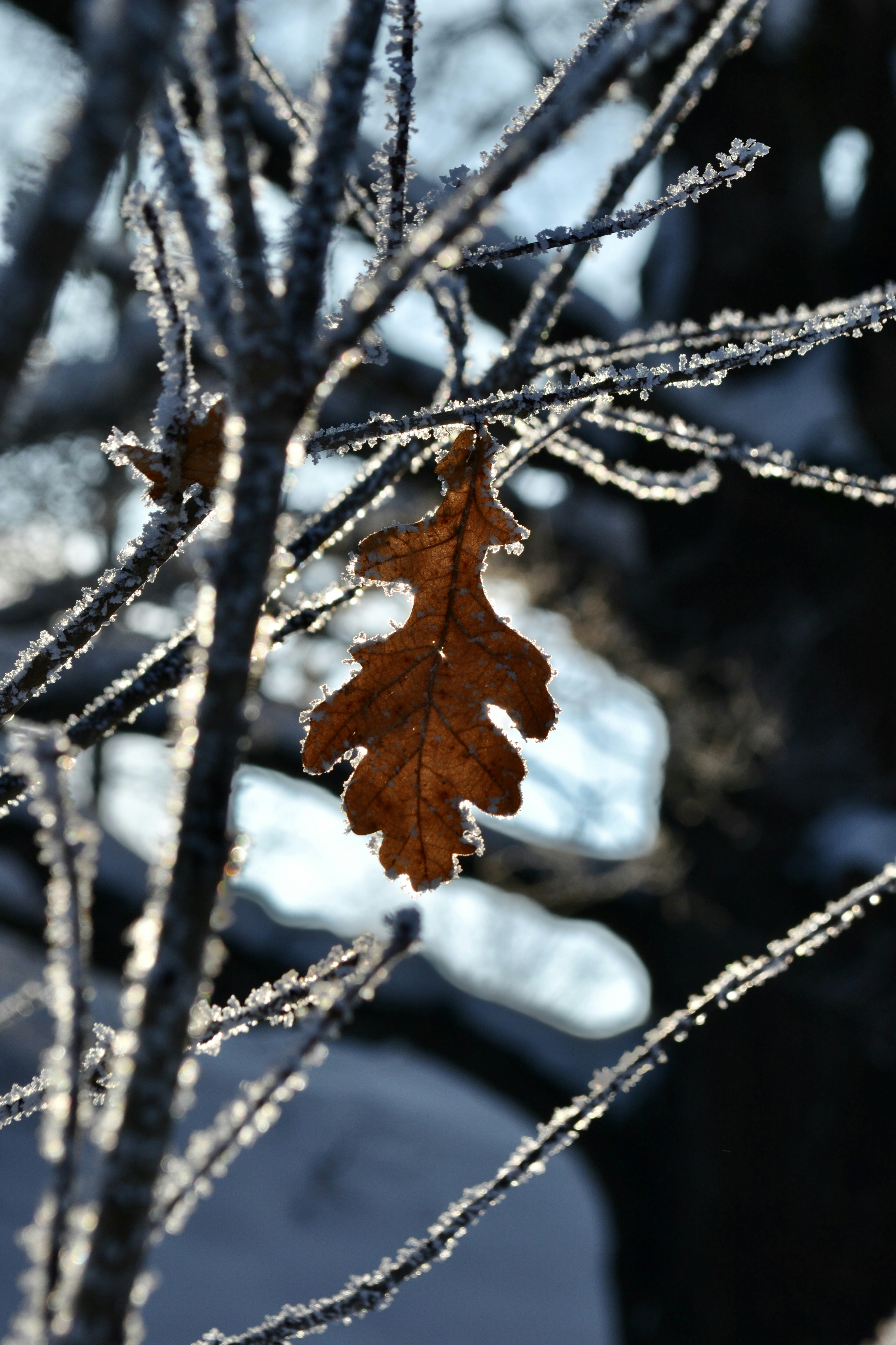 Photo by evgenslavin