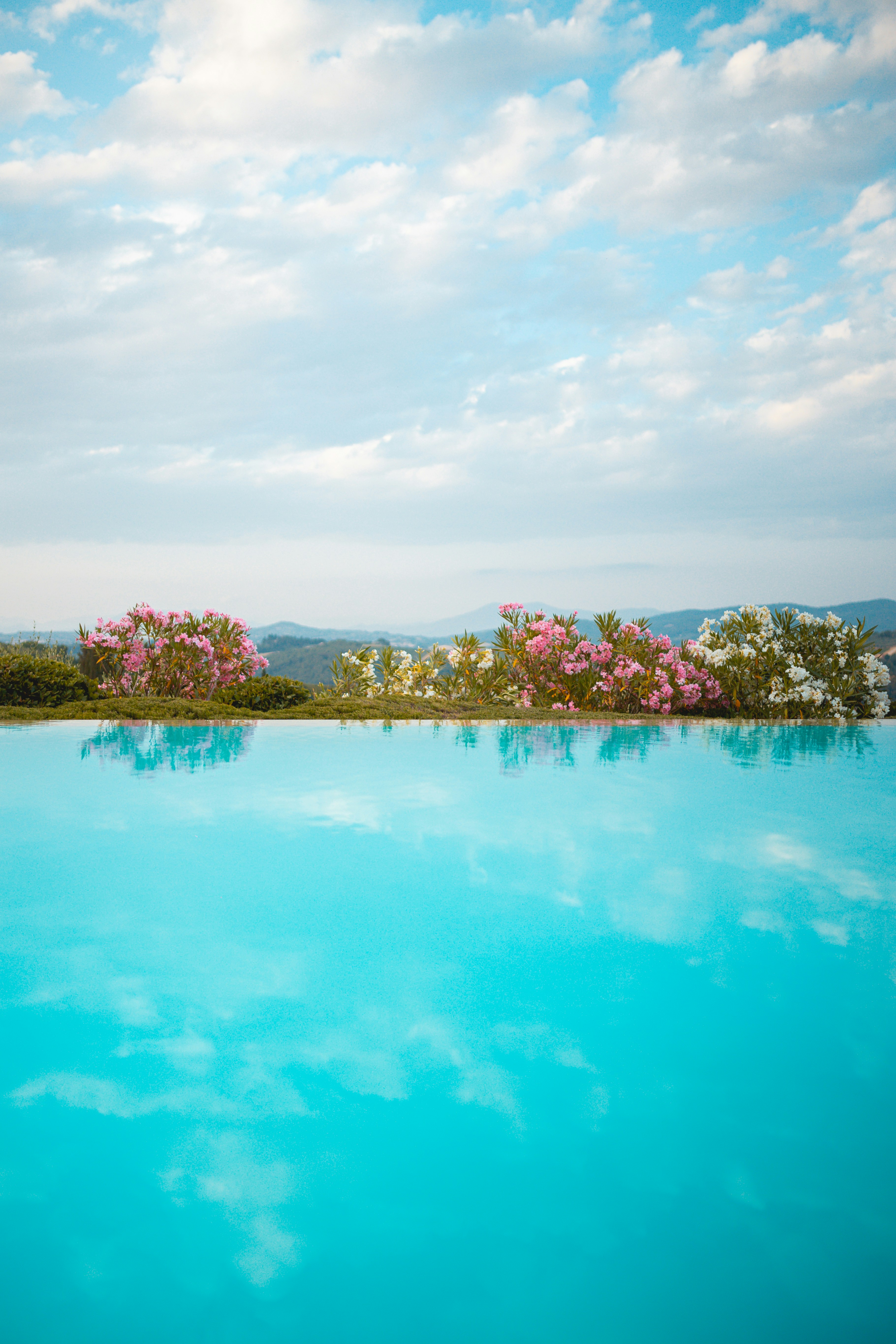 Photo by mrsunflower94