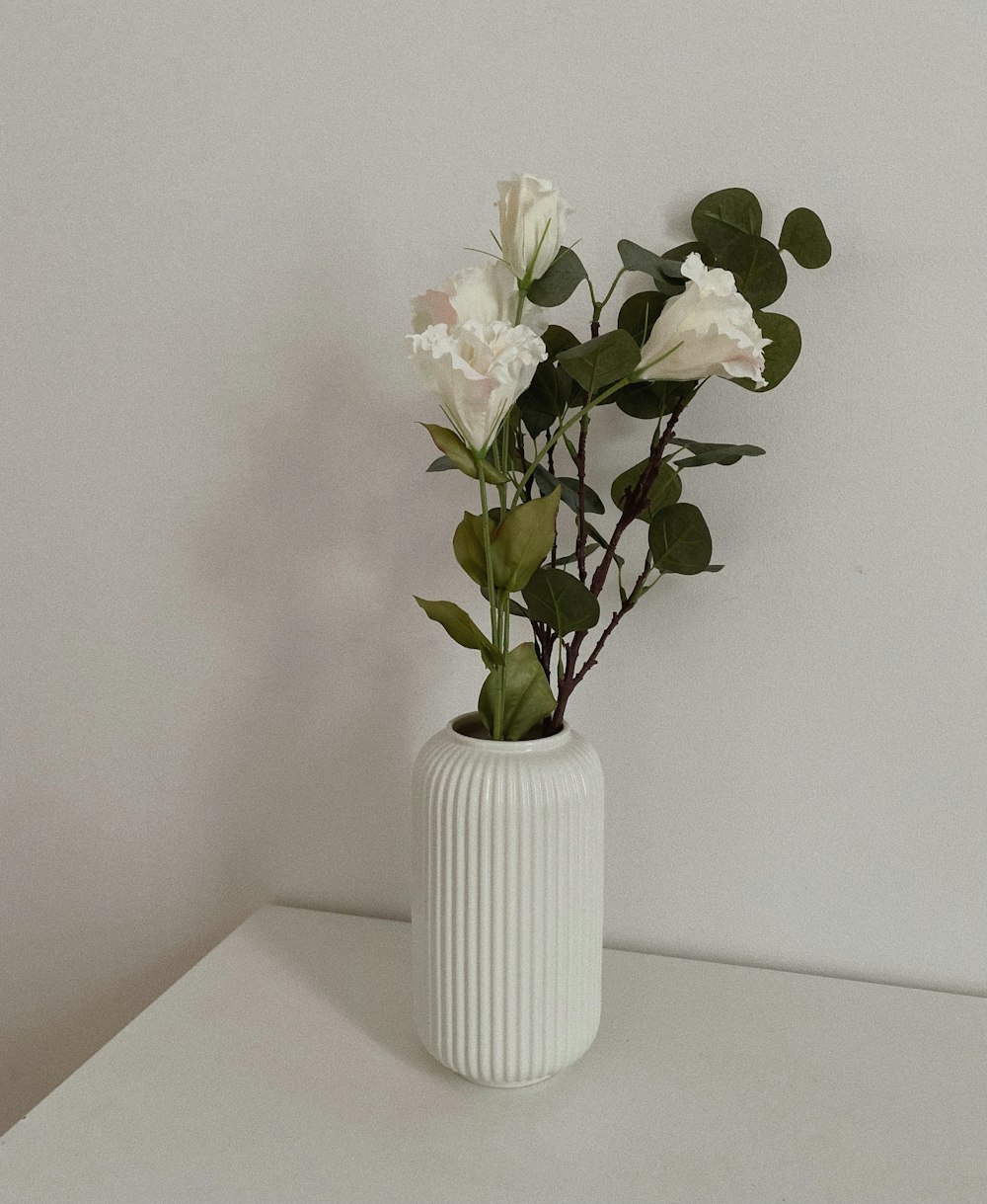 a vase with white flowers