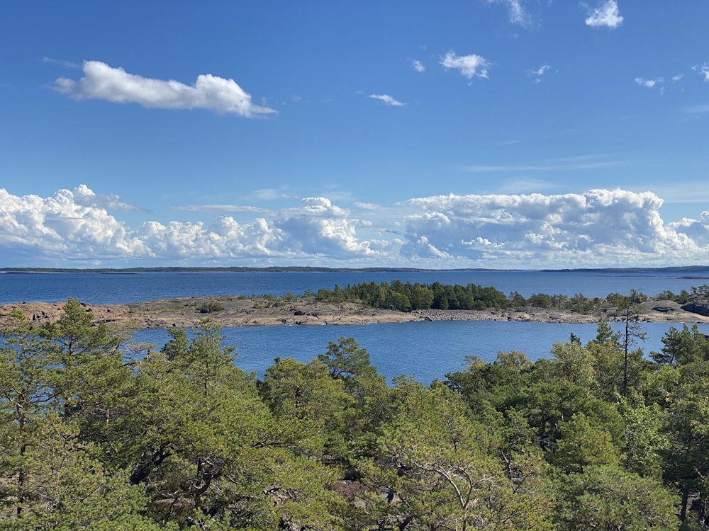 a body of water surrounded by trees