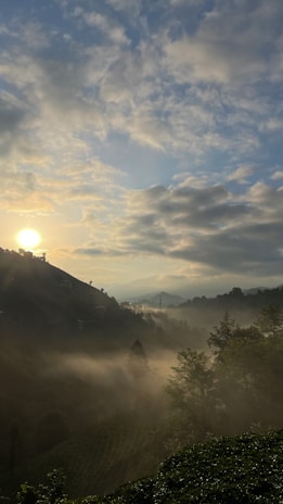 A serene landscape with mist rolling over green hills at sunrise.