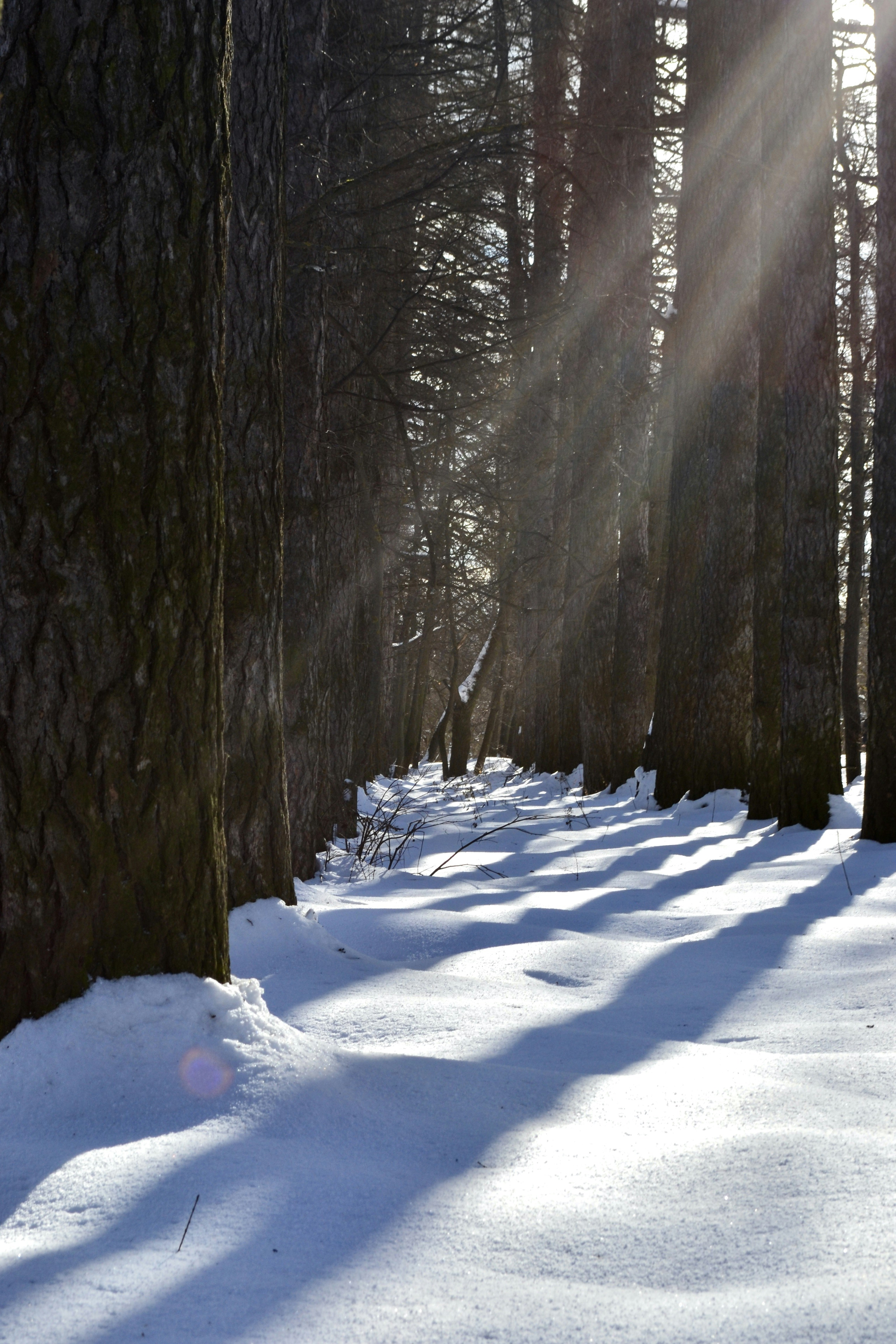 Photo by evgenslavin