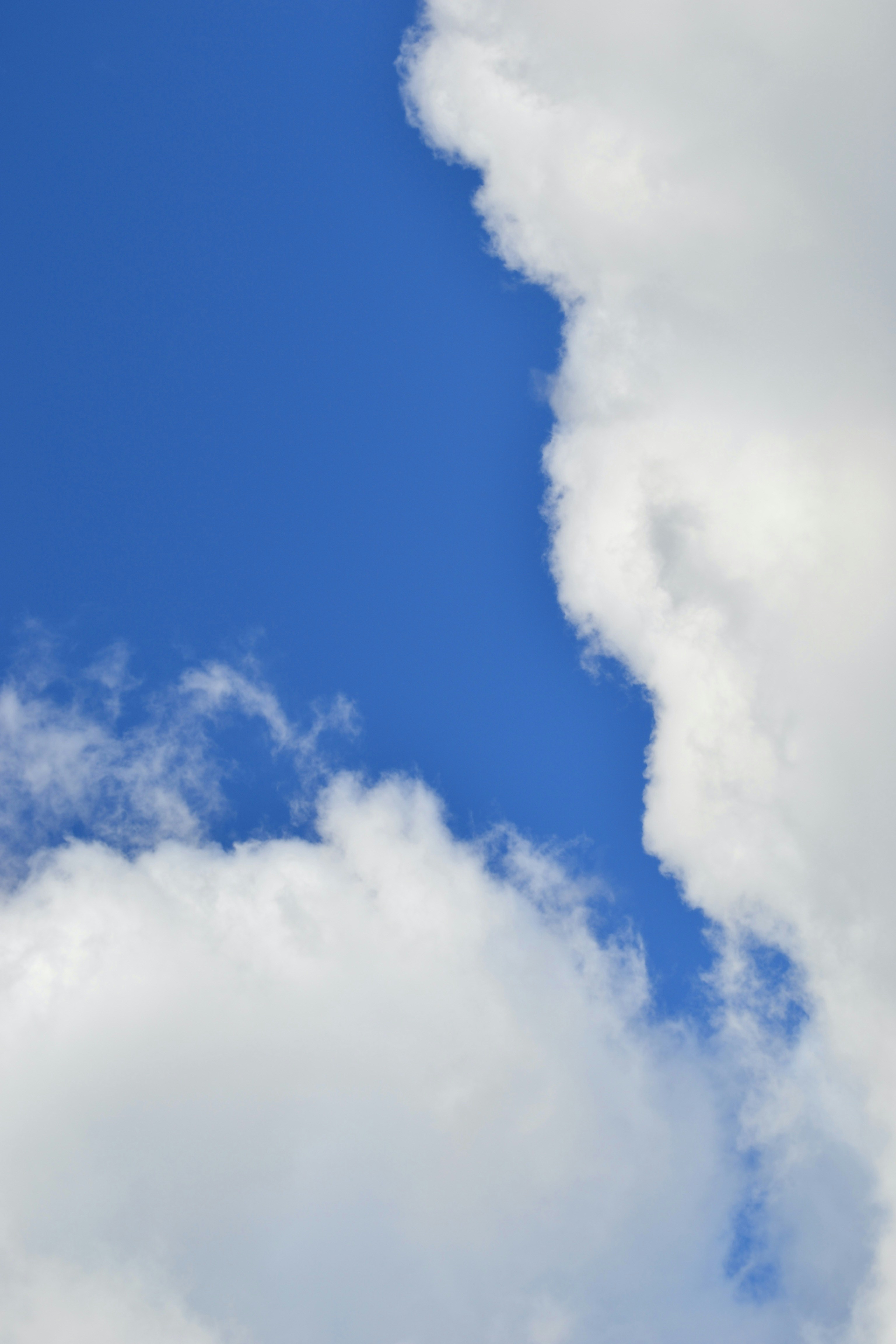 Photo by evgenslavin