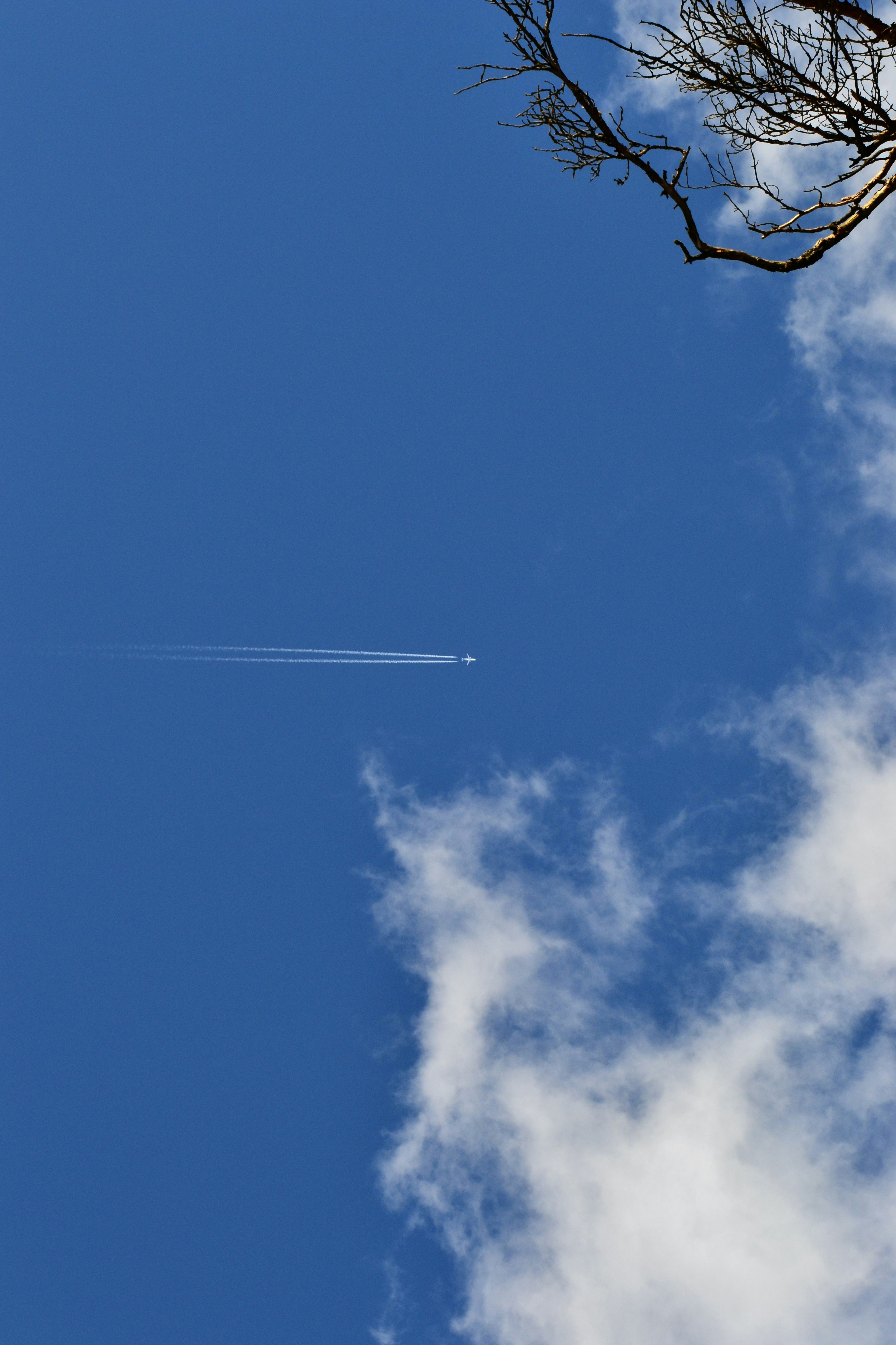 Photo by evgenslavin