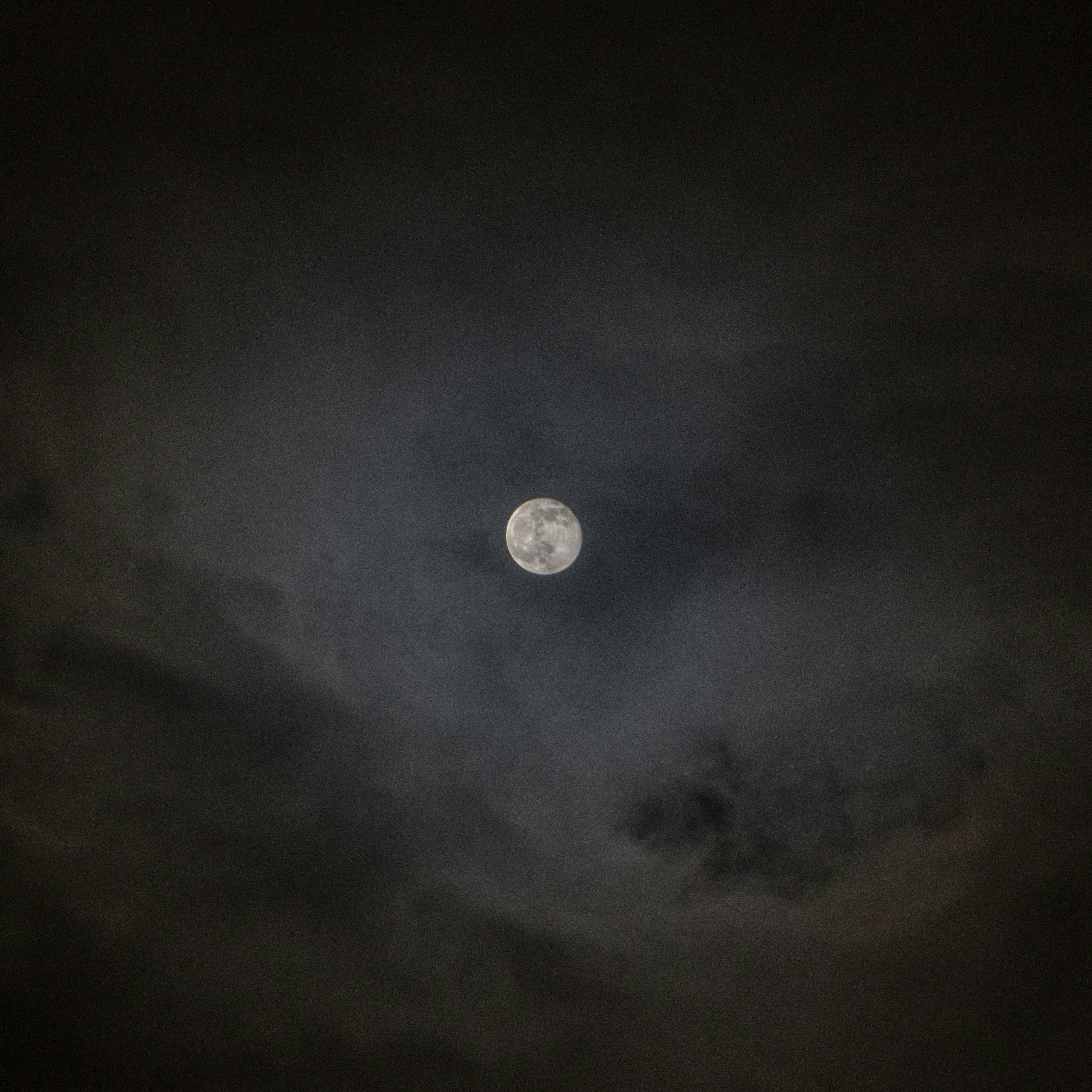 Photo by angrygrandmama