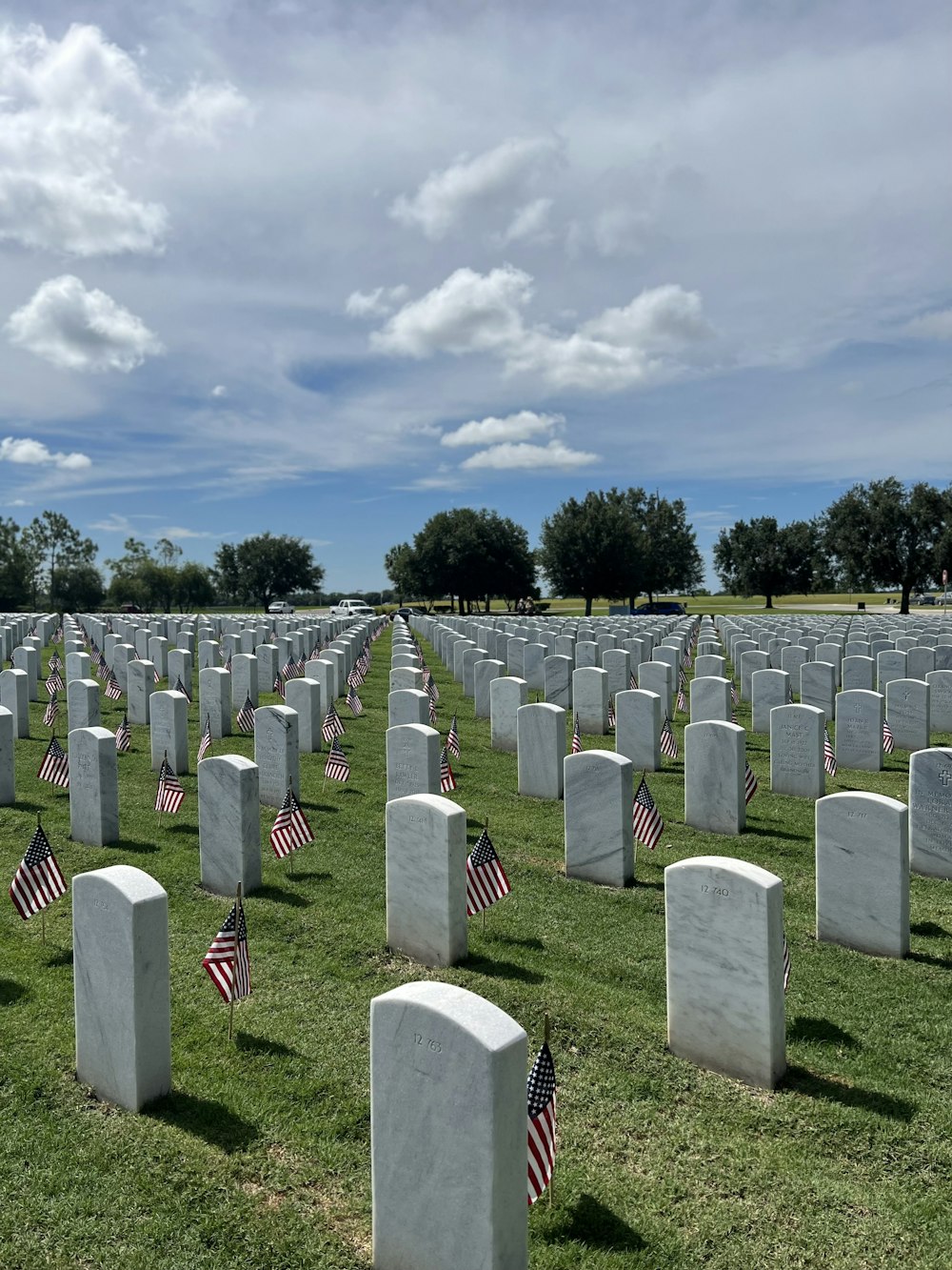 a cemetery with many flags