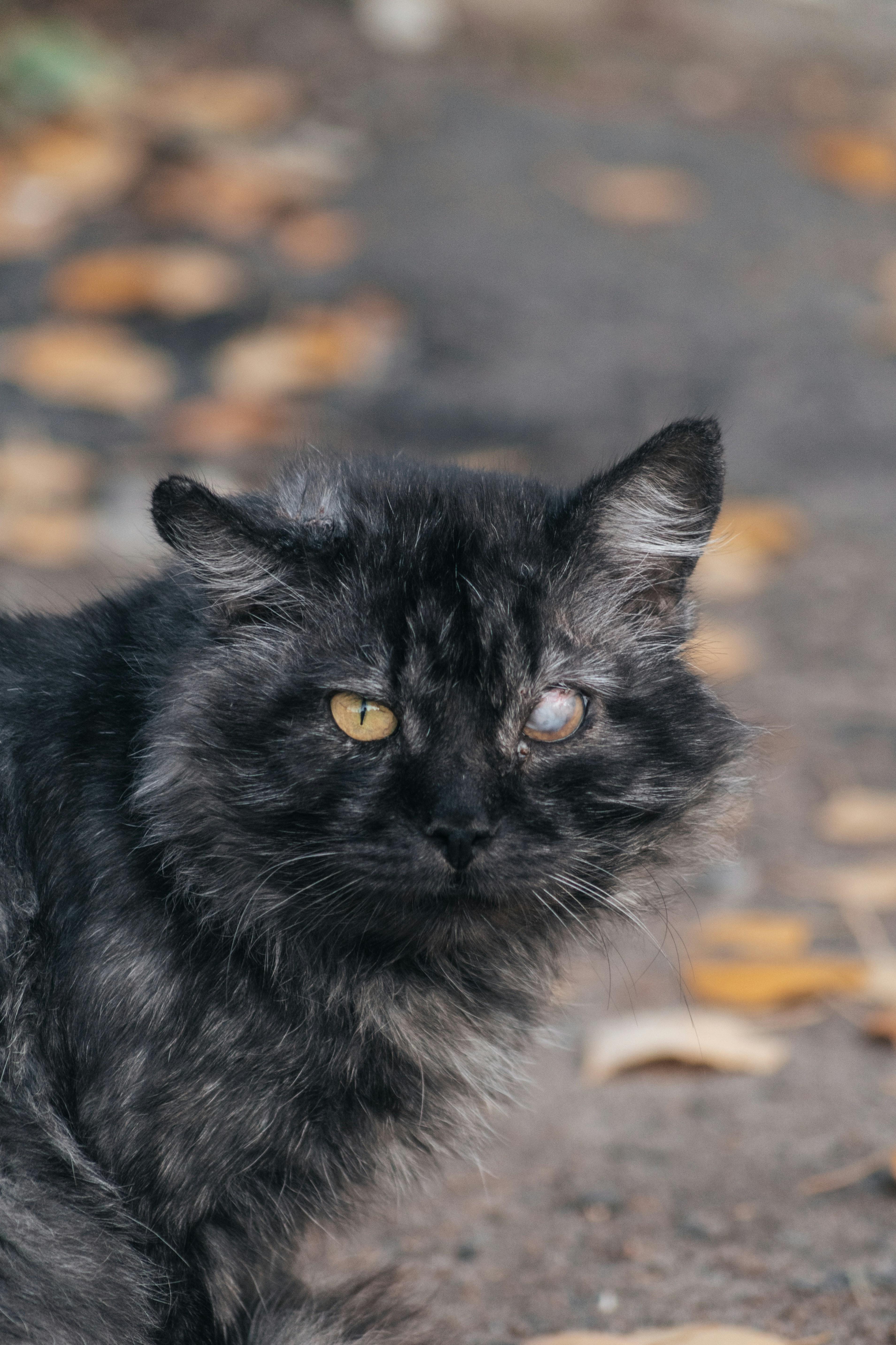 Photo by angrygrandmama