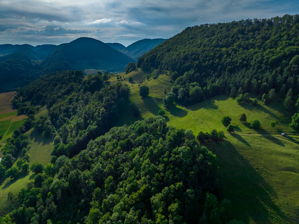 a landscape with trees and hills