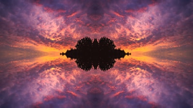 a silhouette of a tree against a colorful sky
