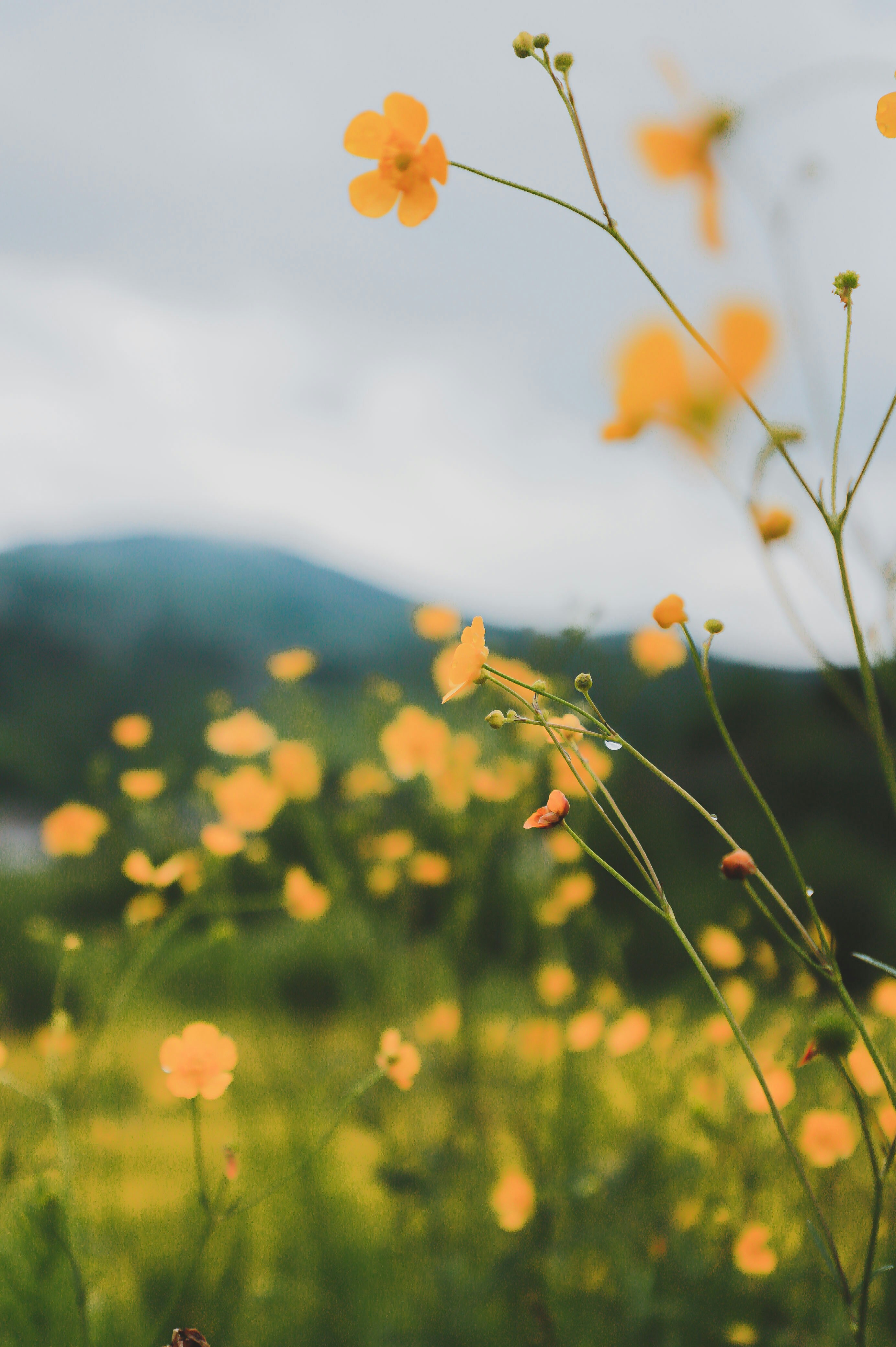 Photo by orest_shcherbakov