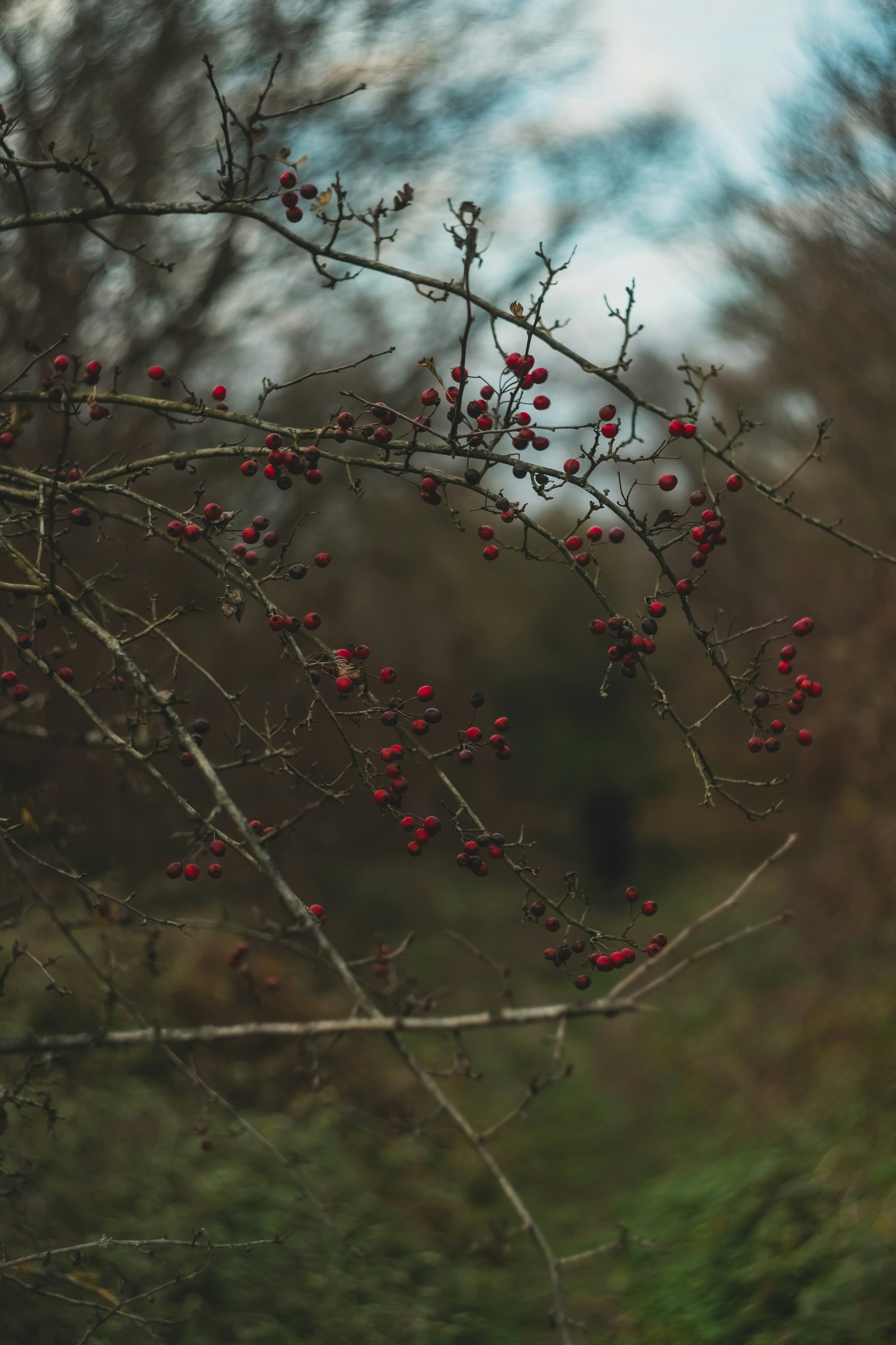 Photo by orest_shcherbakov