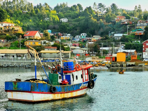A colorful fishing boat is docked in a small harbor, surrounded by a lively village built on a green hillside. The village features a variety of brightly painted houses and boats, with lush trees and vegetation in the background.