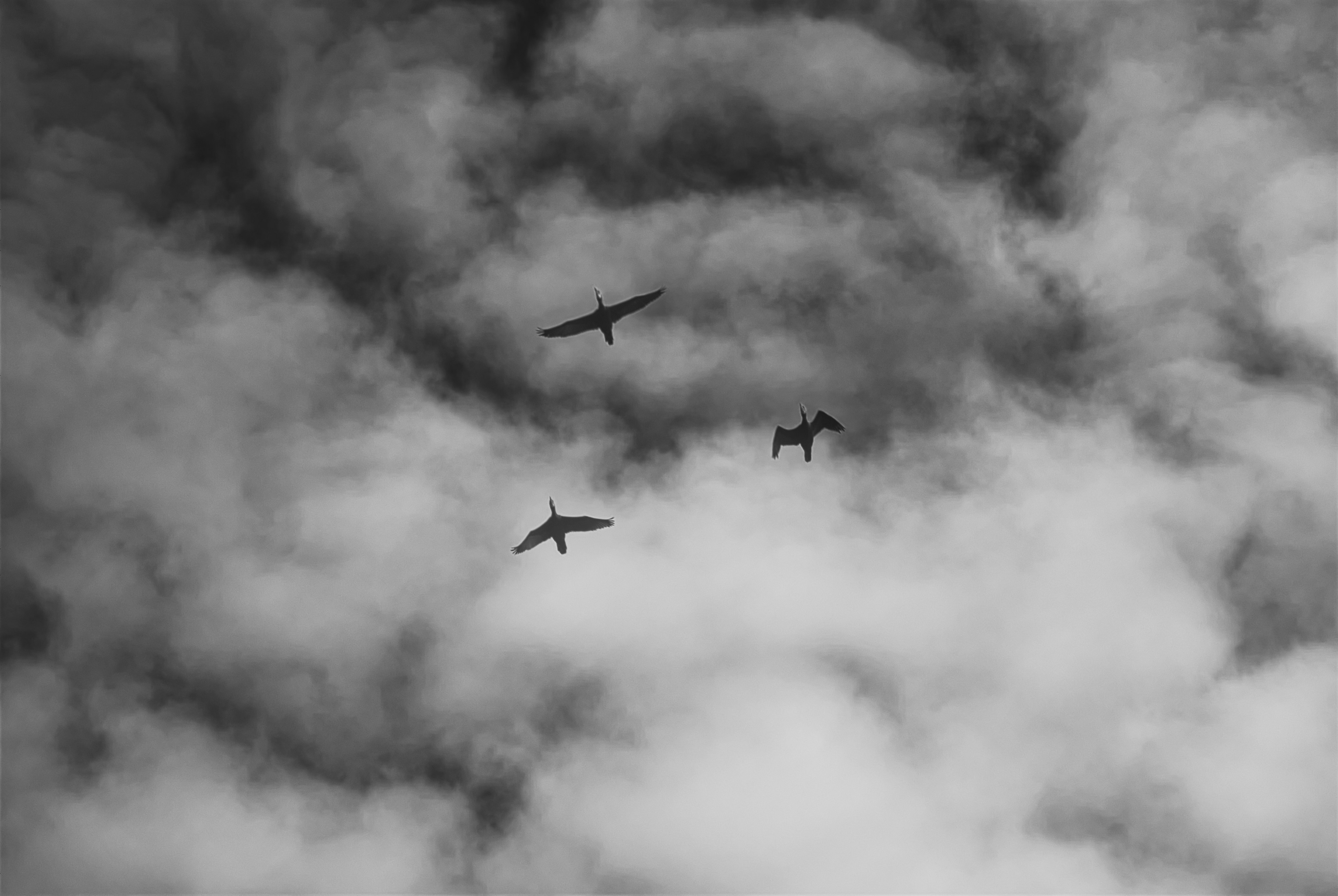 Photo by luismisanchez