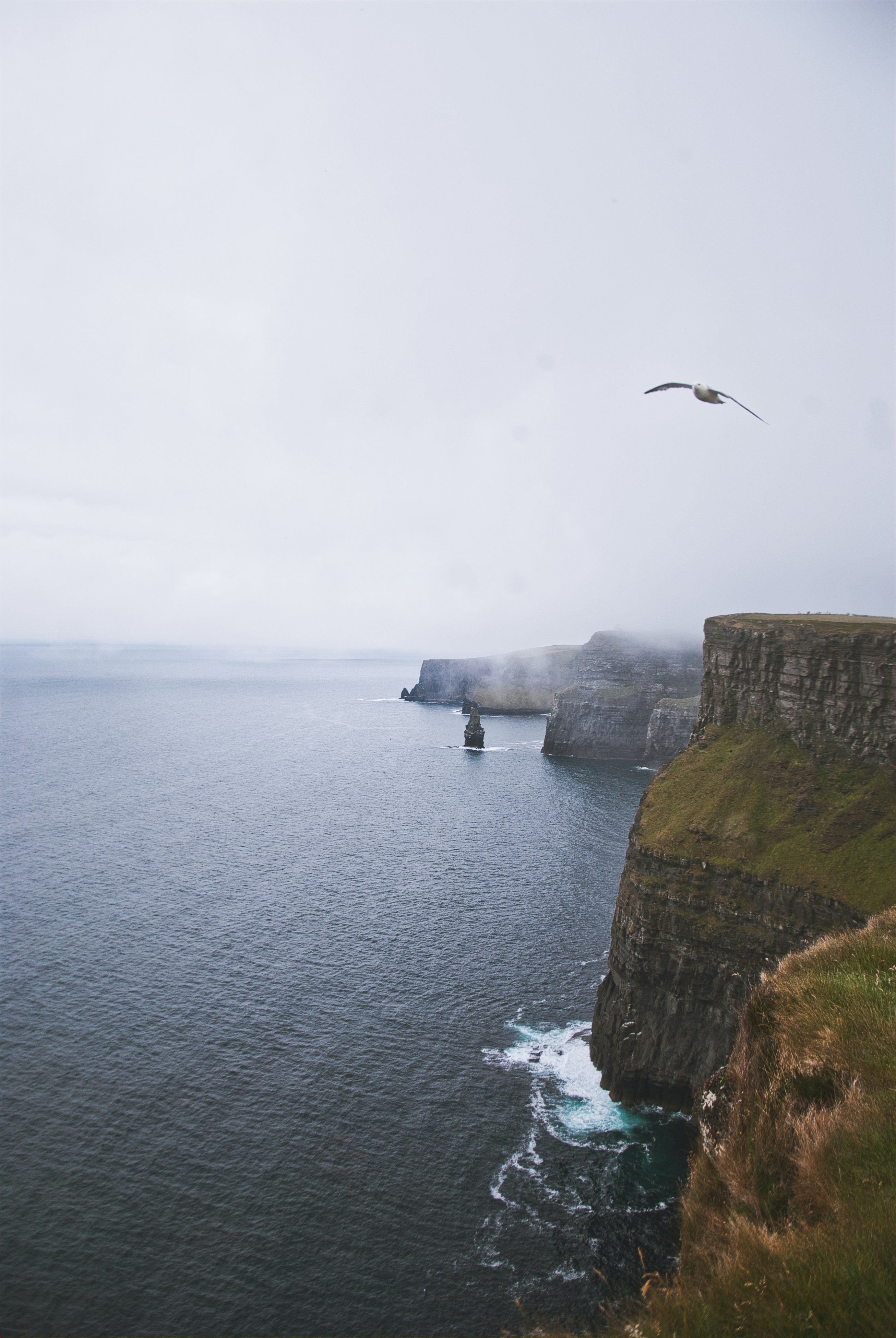 Photo by luismisanchez