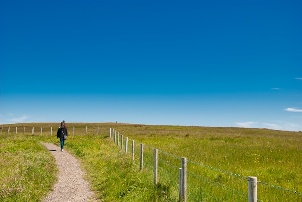 A person walks along a narrow path surrounded by grassy fields under a clear blue sky. Wooden posts with wires line the path, separating it from the fields. The horizon stretches ahead with no visible landmarks, creating a sense of openness and tranquility.