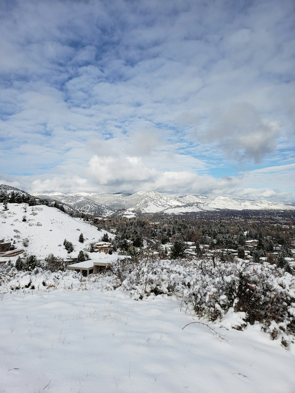 a snowy landscape with trees and houses