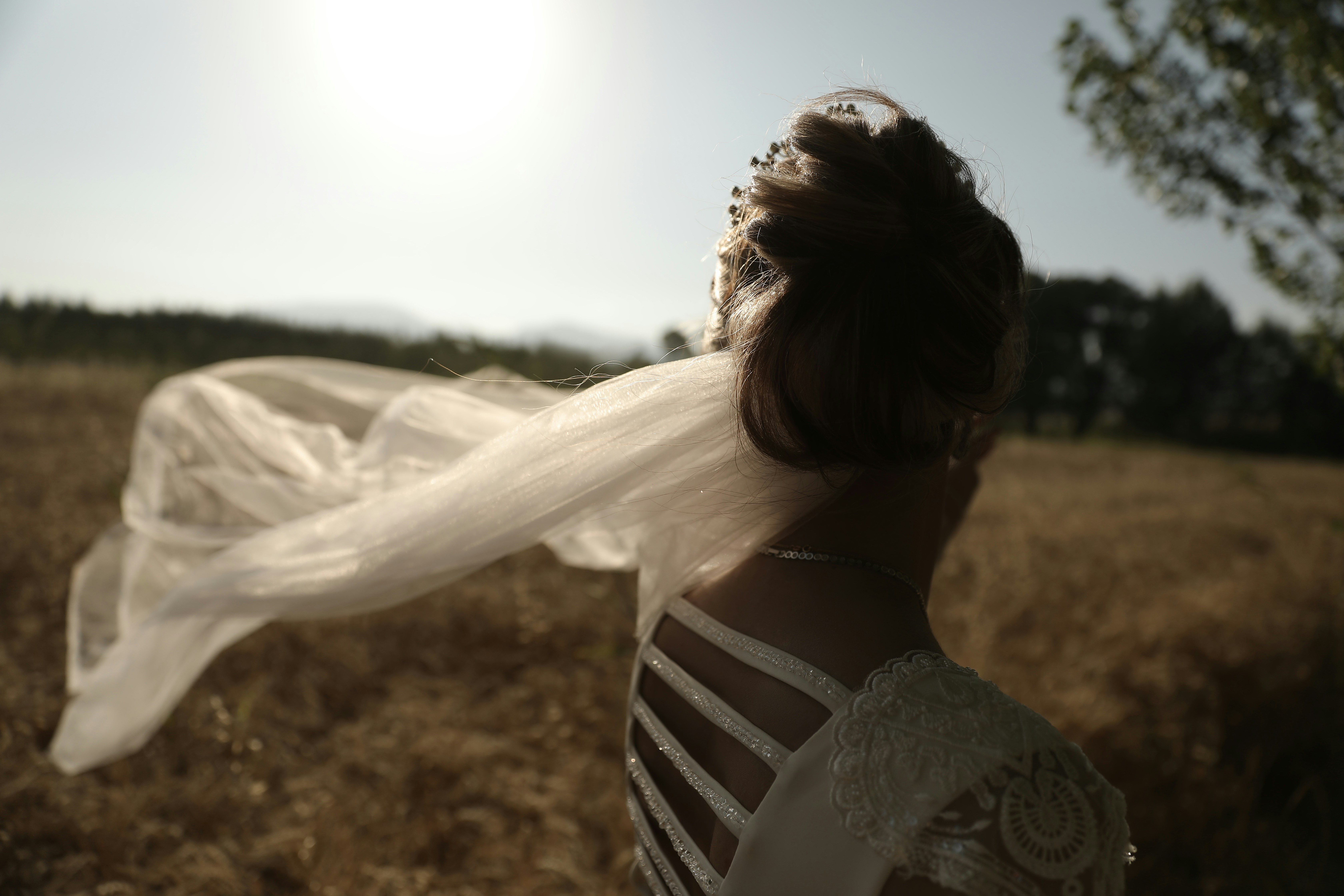 Photo by norouzipic