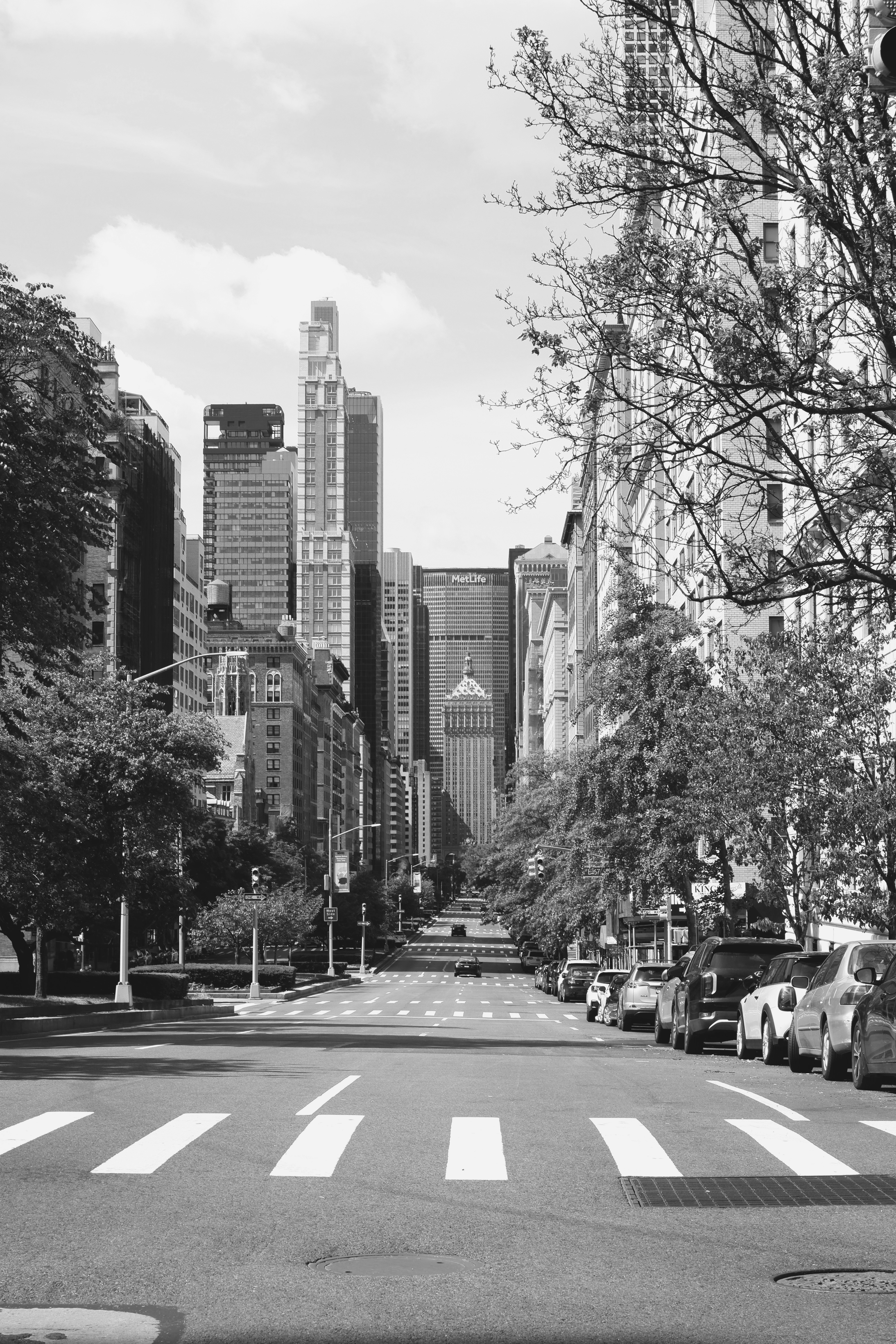 Photo by piligonzalezprieto